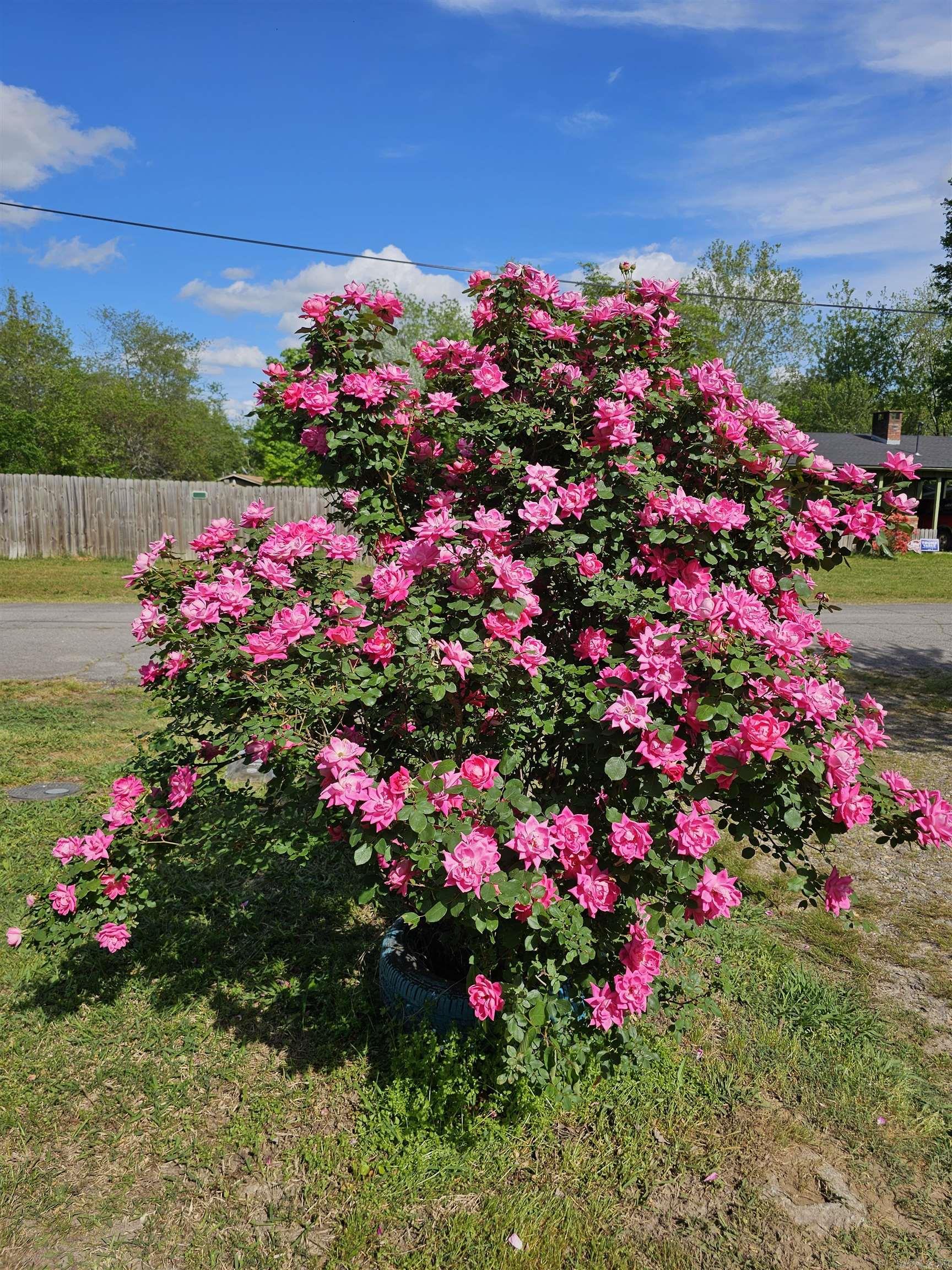 308  Gann  Mena, AR