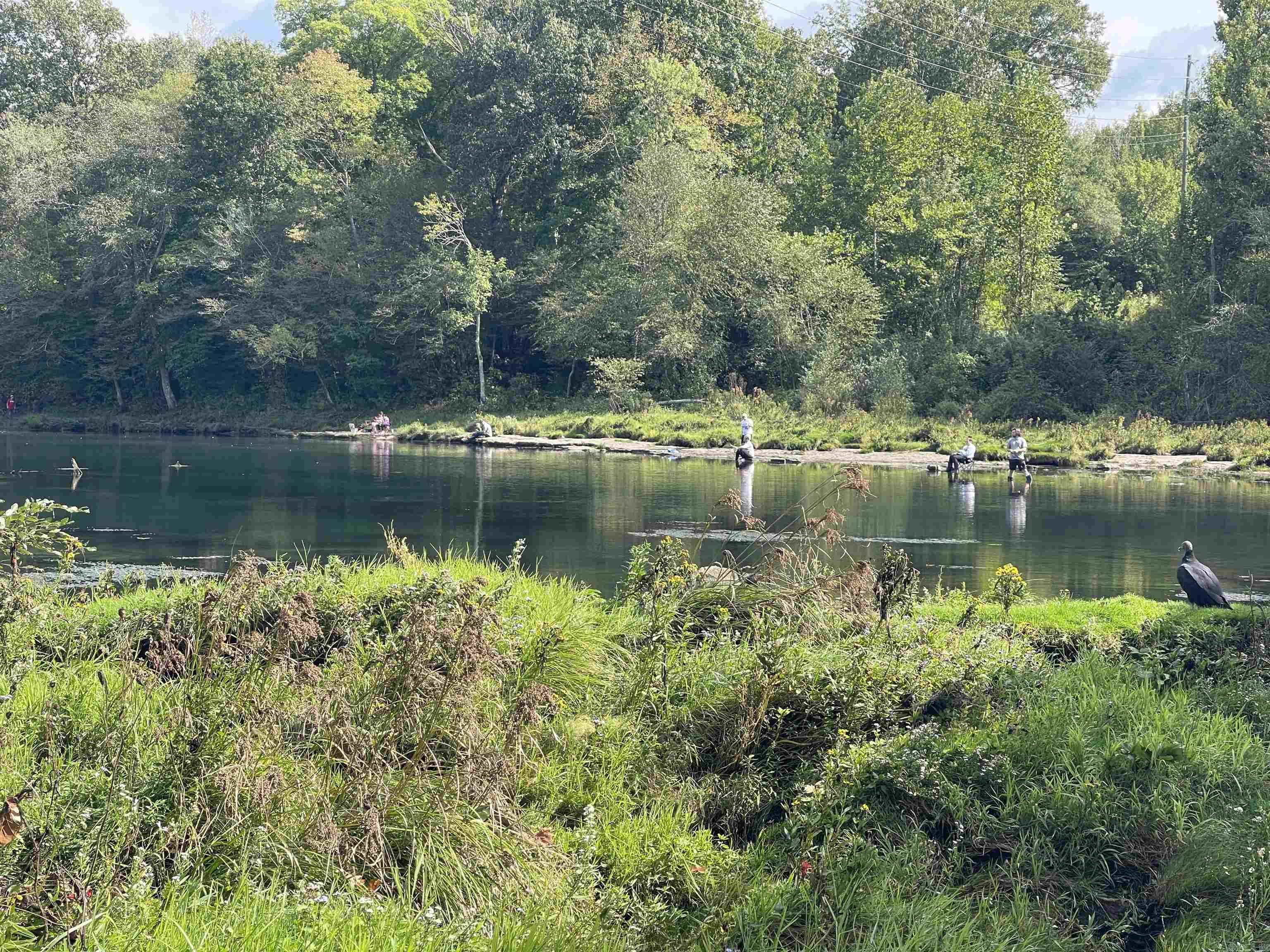 9 Jared Circle Heber Springs, AR 72543