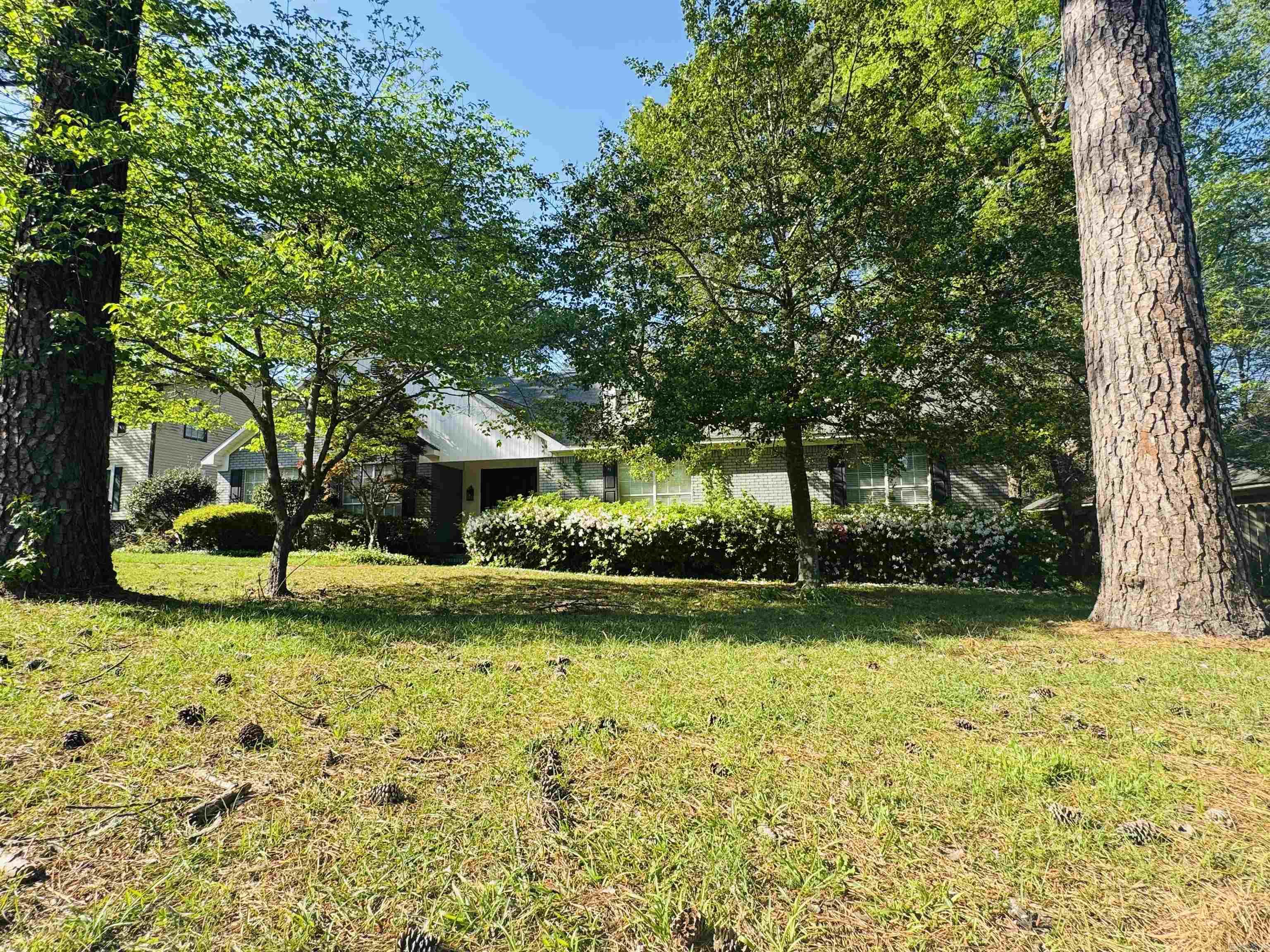 22  Azalea  Magnolia, AR