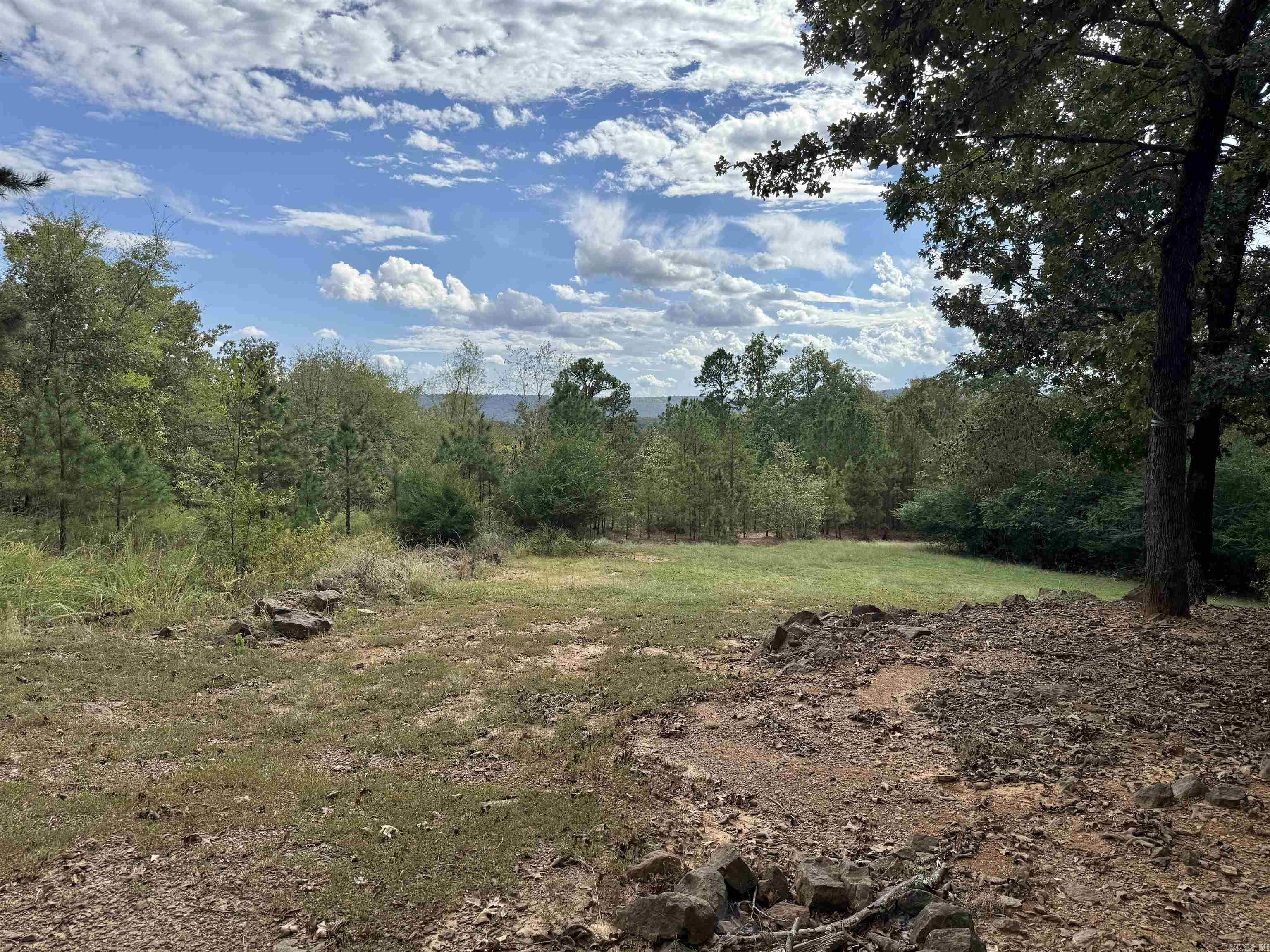 199 Pine Hill Estates Rd.  Higden, AR