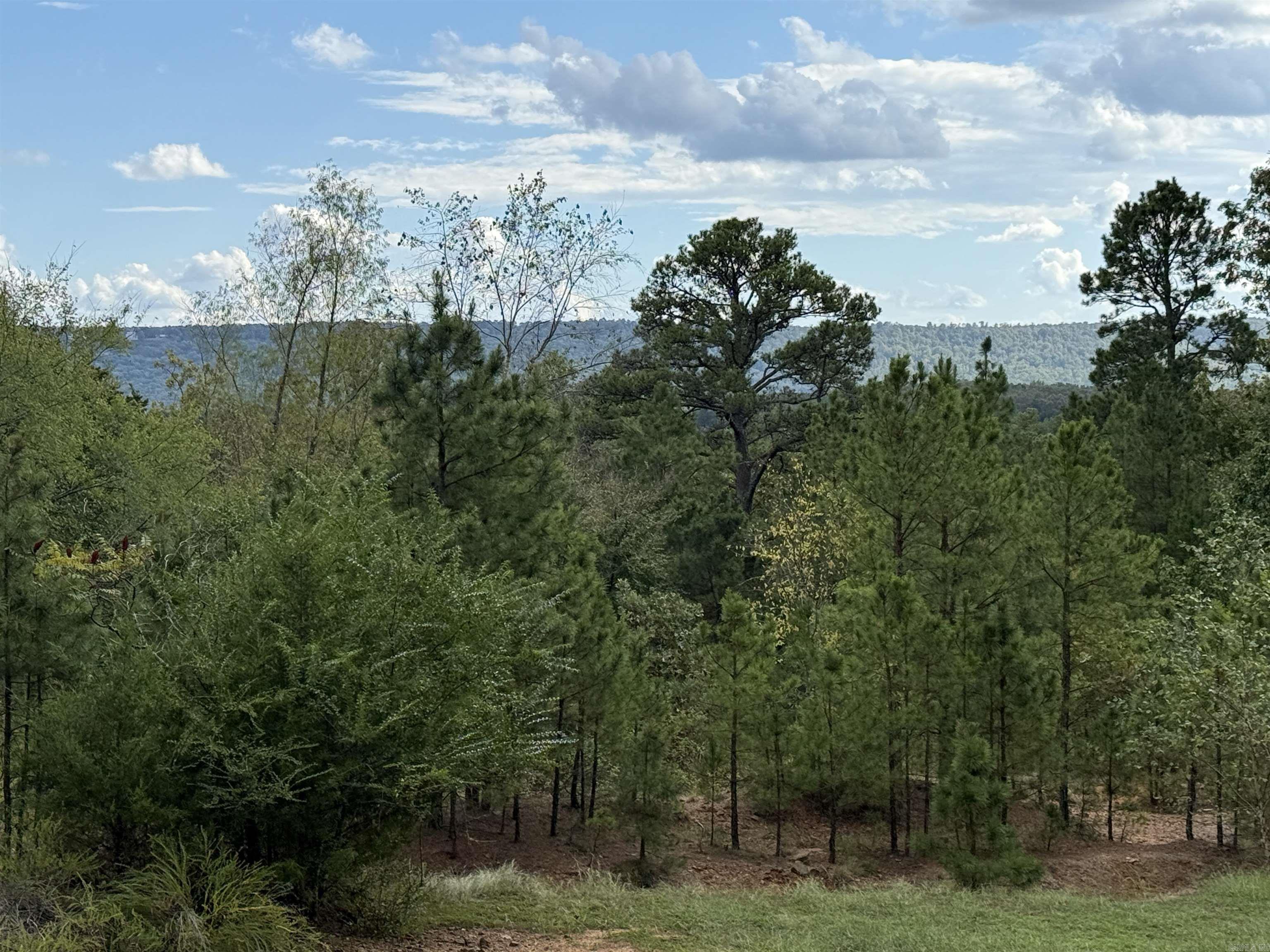 199 Pine Hill Estates Rd.  Higden, AR