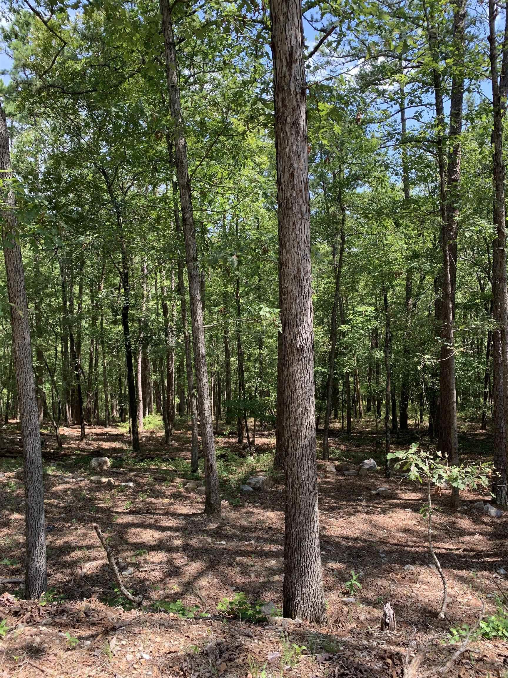 42  Gerante  Hot Springs Village, AR