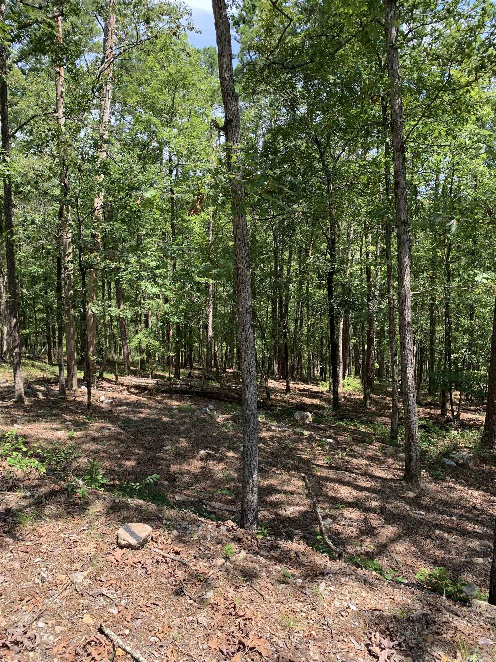 42  Gerante  Hot Springs Village, AR