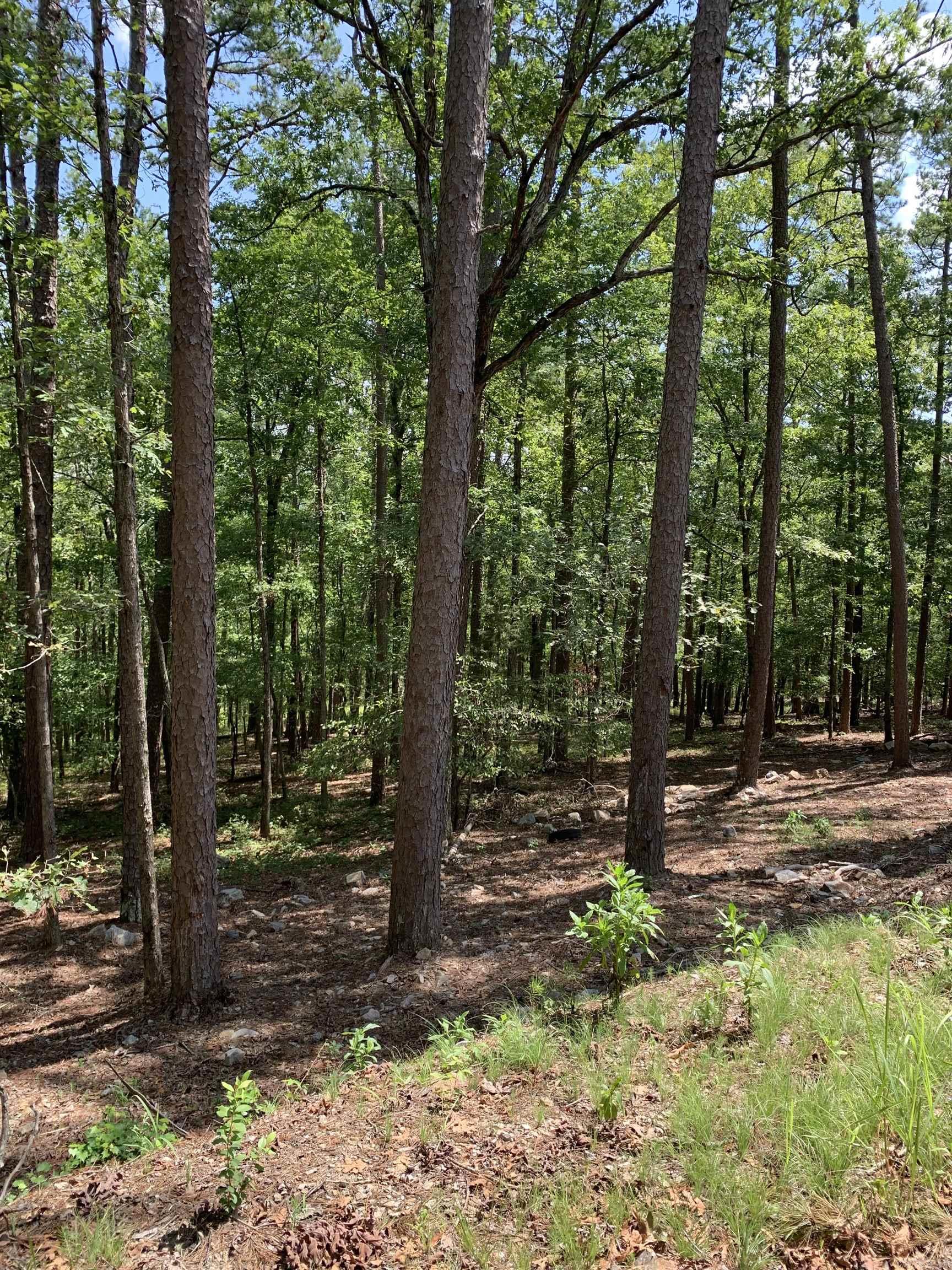 42  Gerante  Hot Springs Village, AR