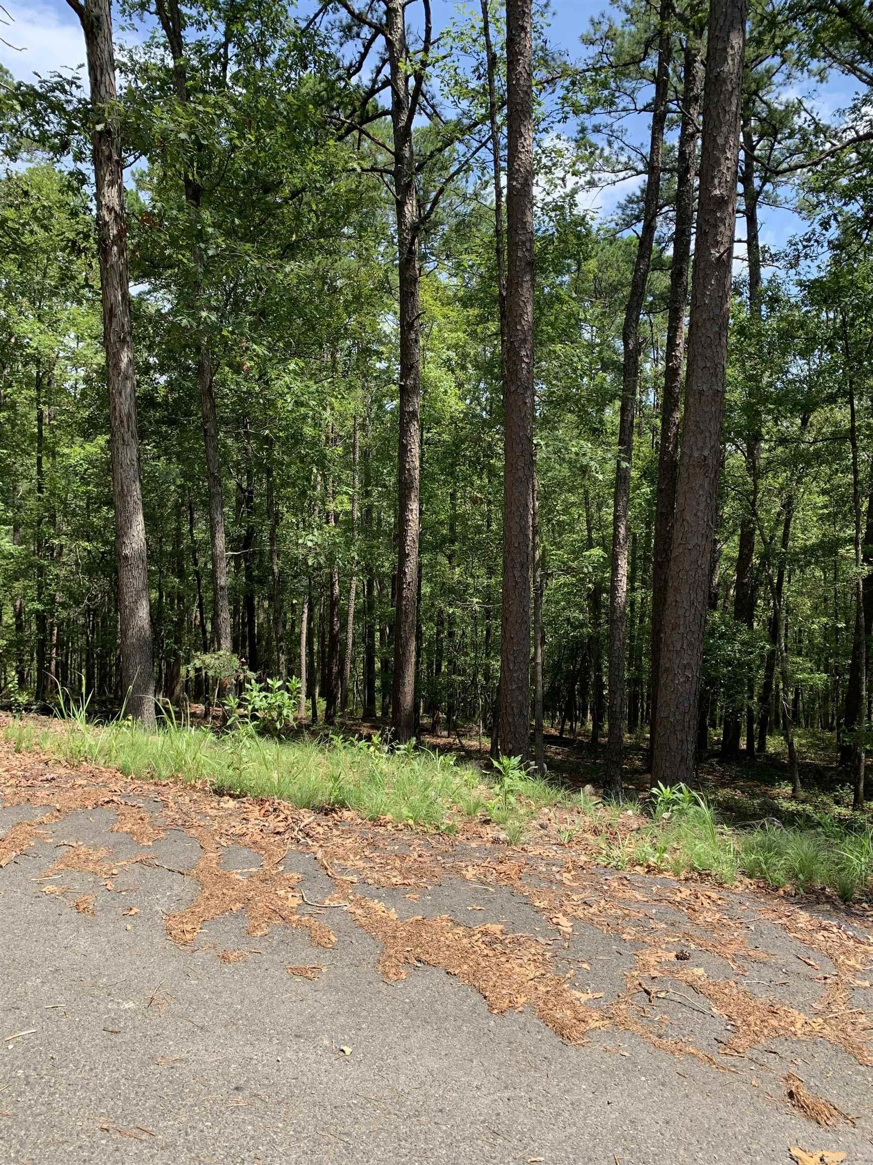 42  Gerante  Hot Springs Village, AR