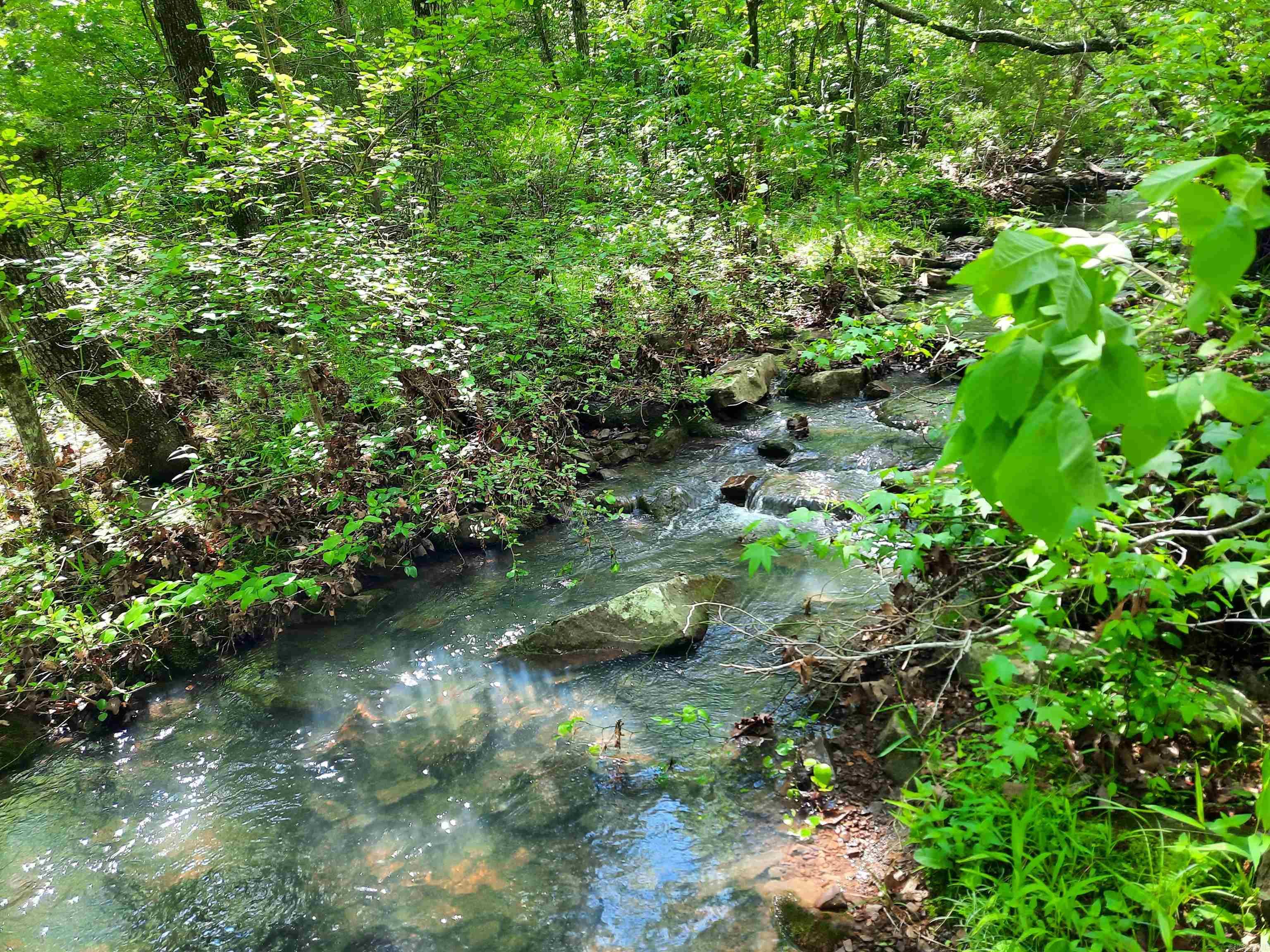 000  Flat Rock Road  Mountain View, AR