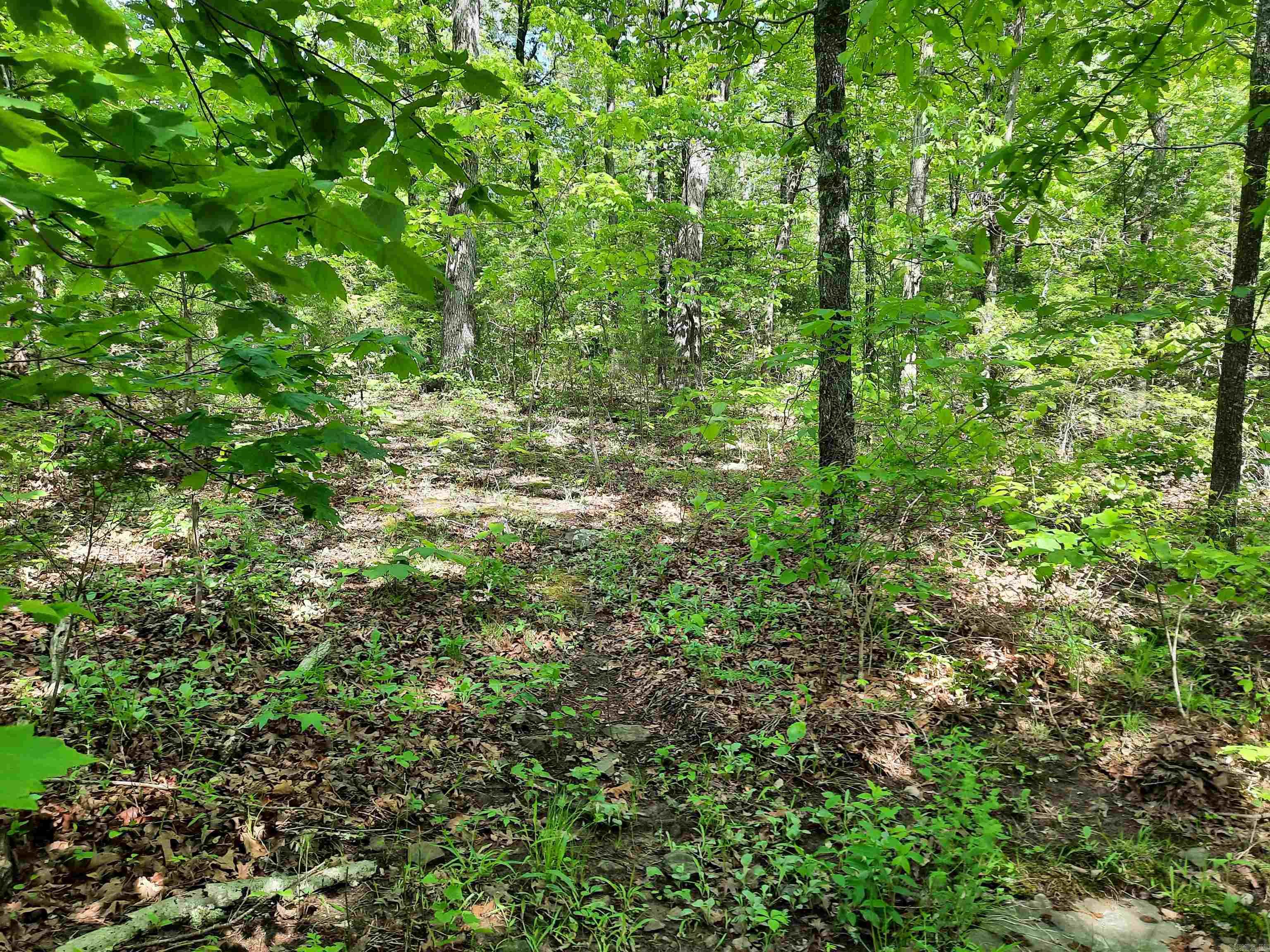 000  Flat Rock Road  Mountain View, AR