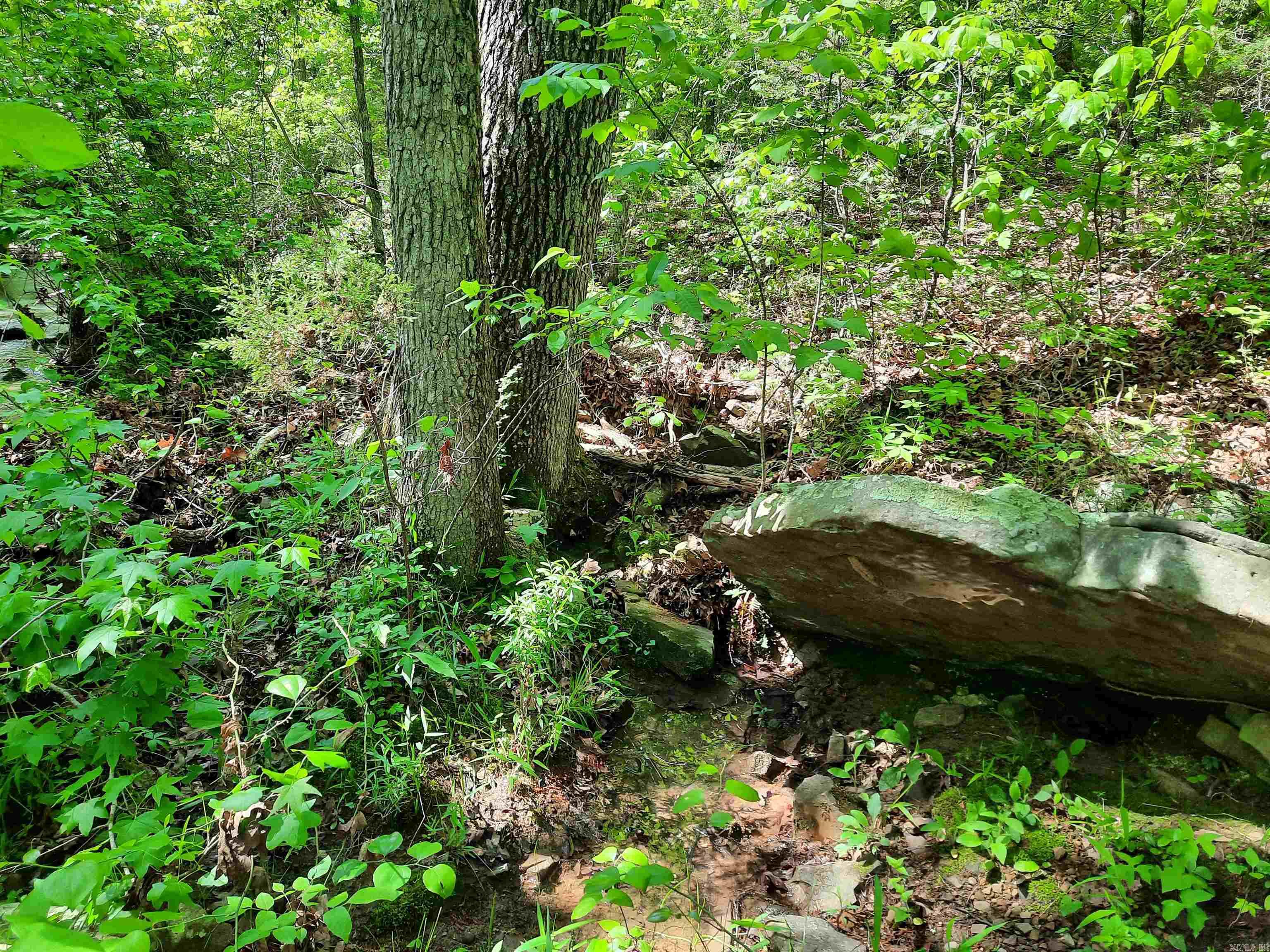 000  Flat Rock Road  Mountain View, AR