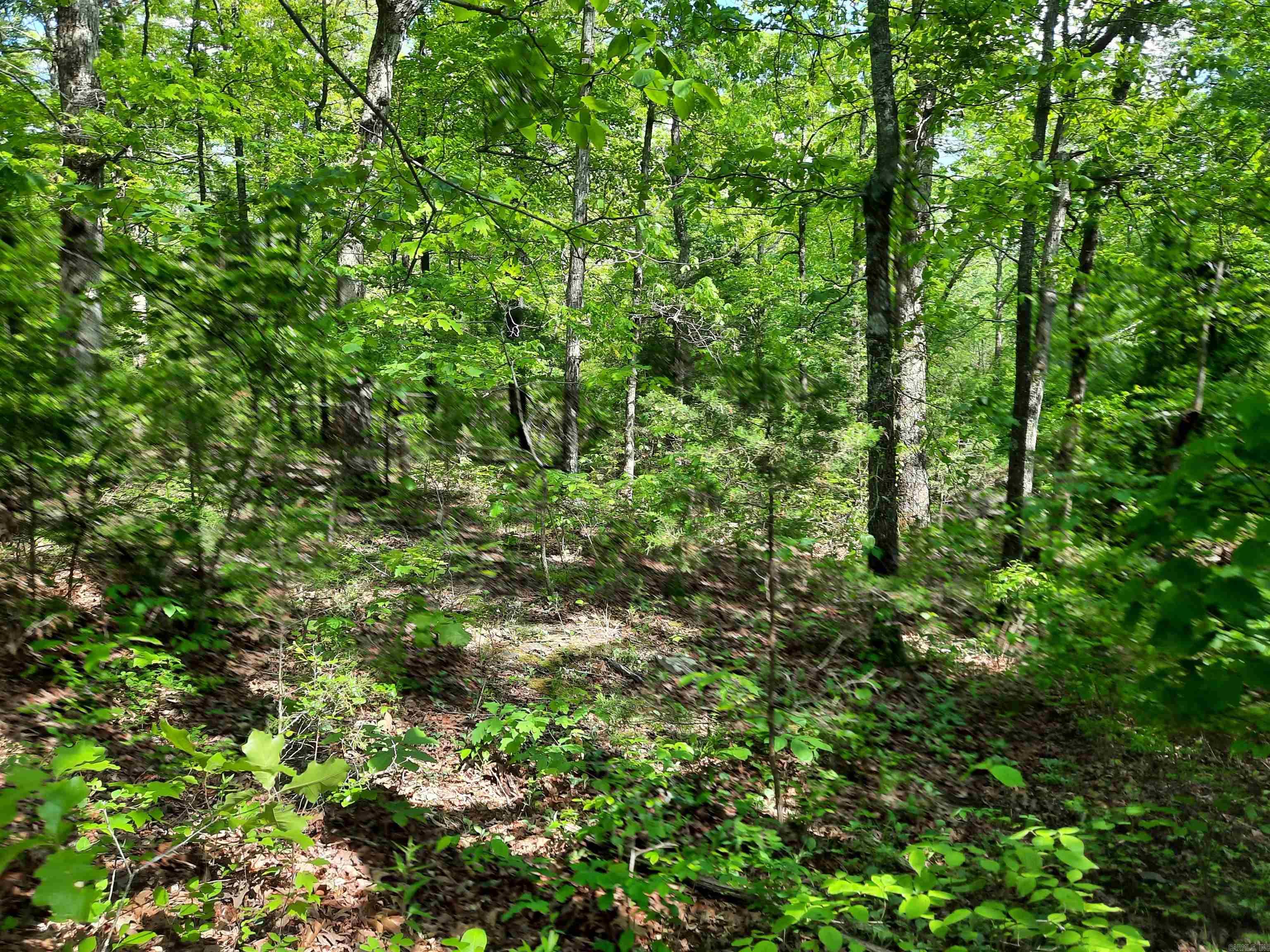 000  Flat Rock Road  Mountain View, AR