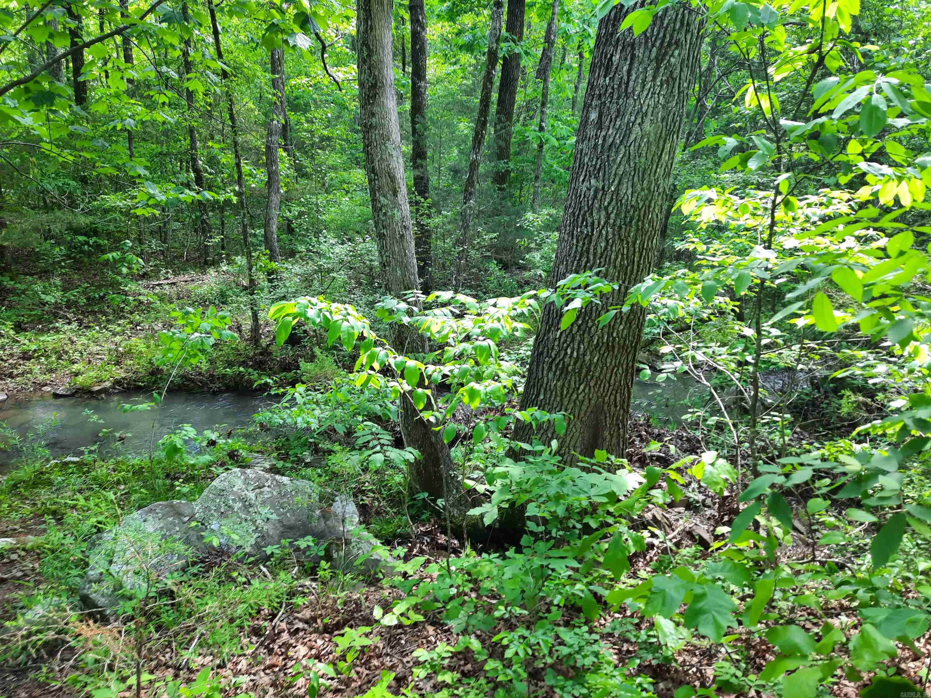 000  Flat Rock Road  Mountain View, AR