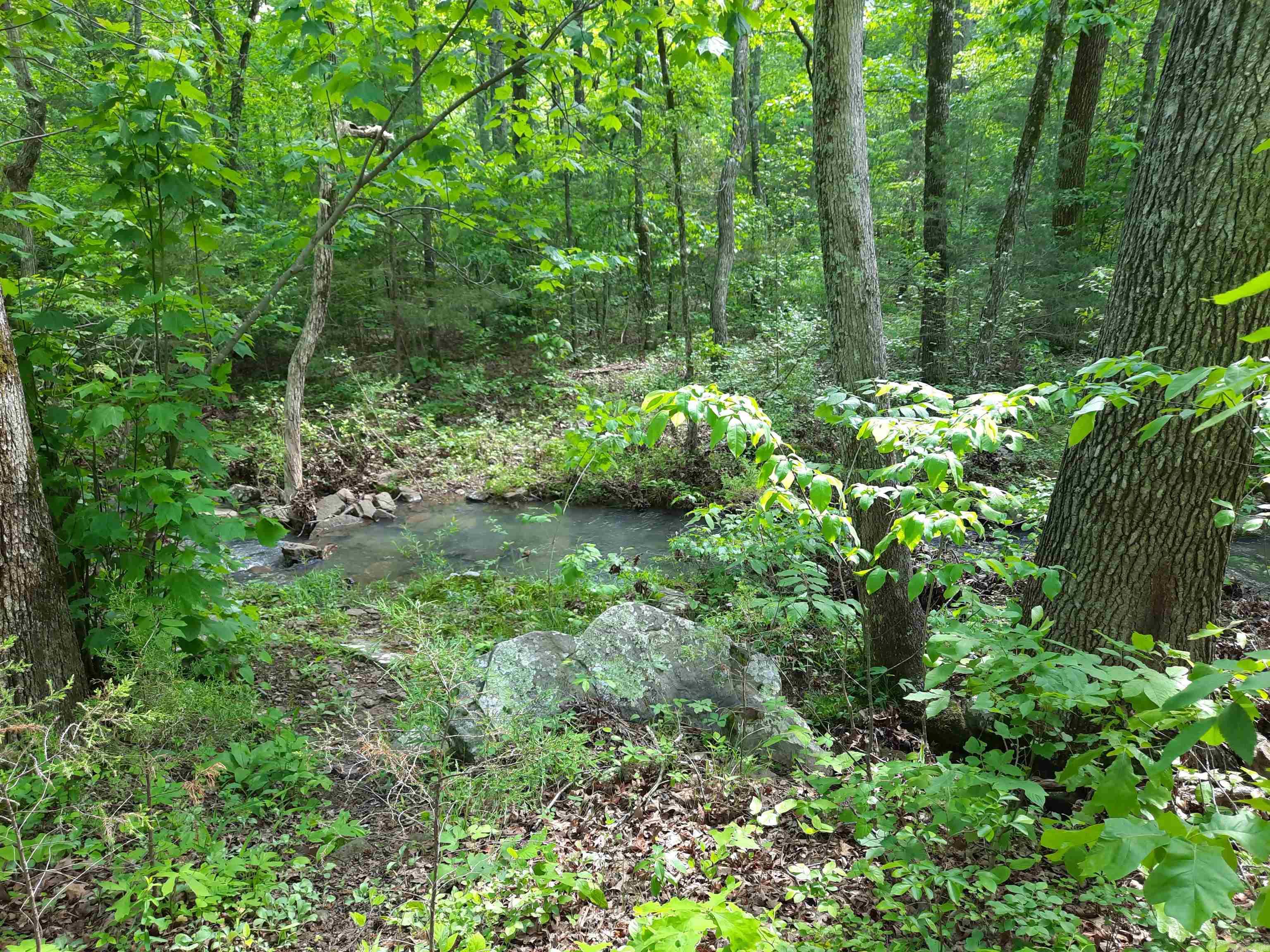 000  Flat Rock Road  Mountain View, AR
