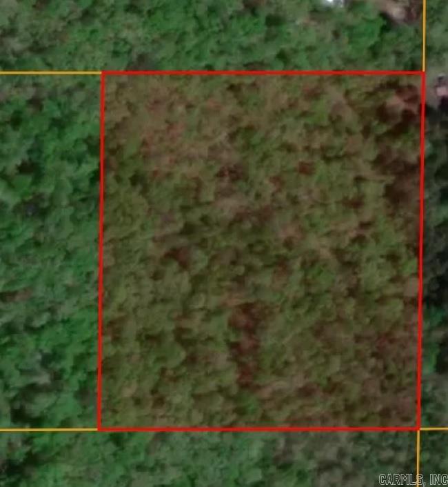 000  Flat Rock Road  Mountain View, AR