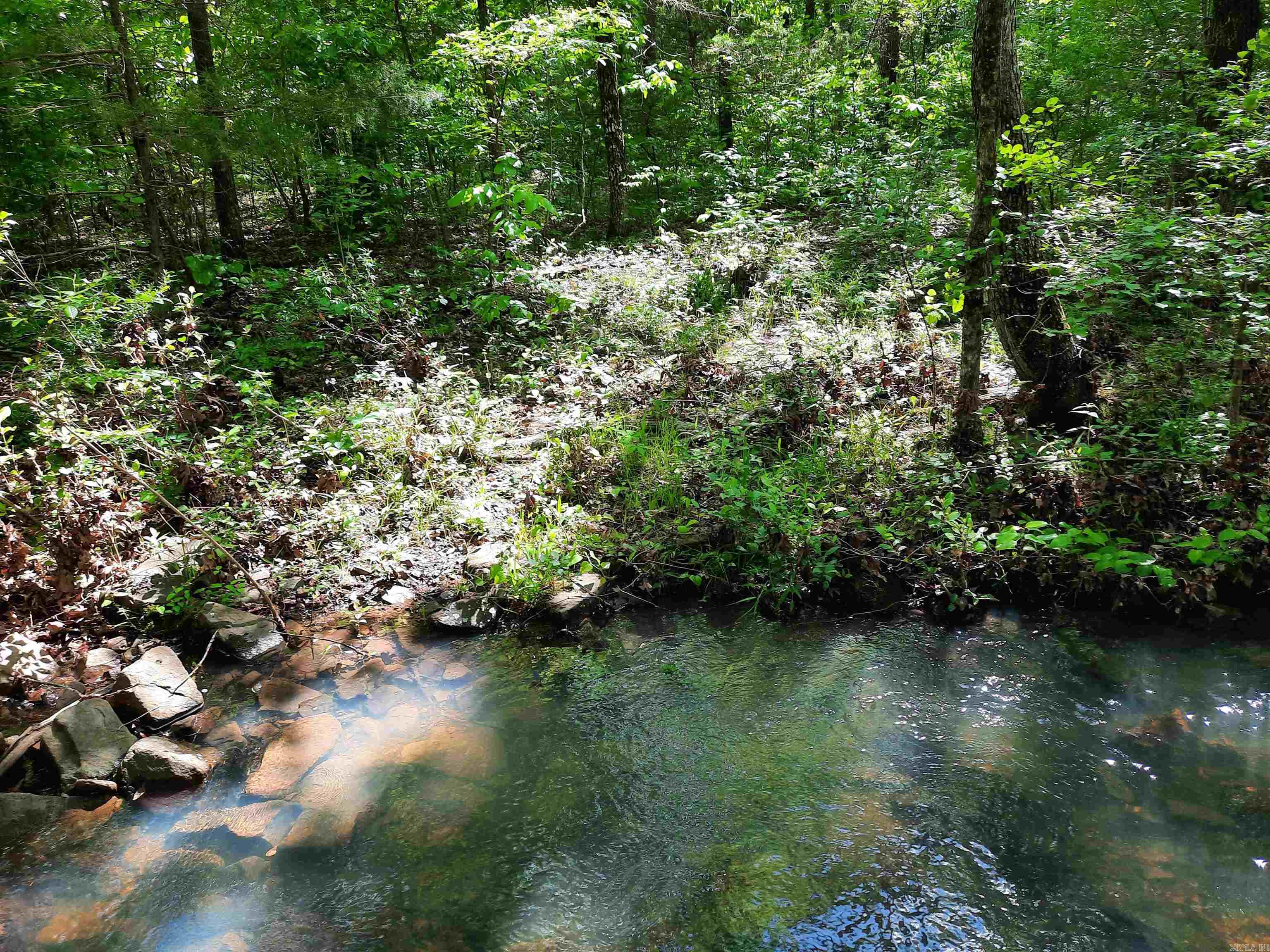 000  Flat Rock Road  Mountain View, AR