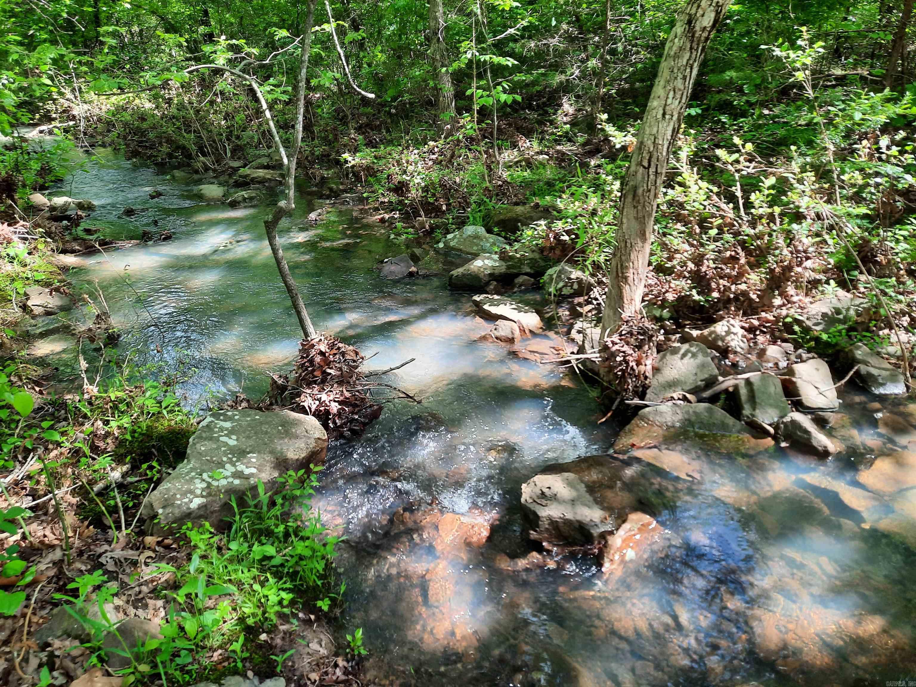 000  Flat Rock Road  Mountain View, AR