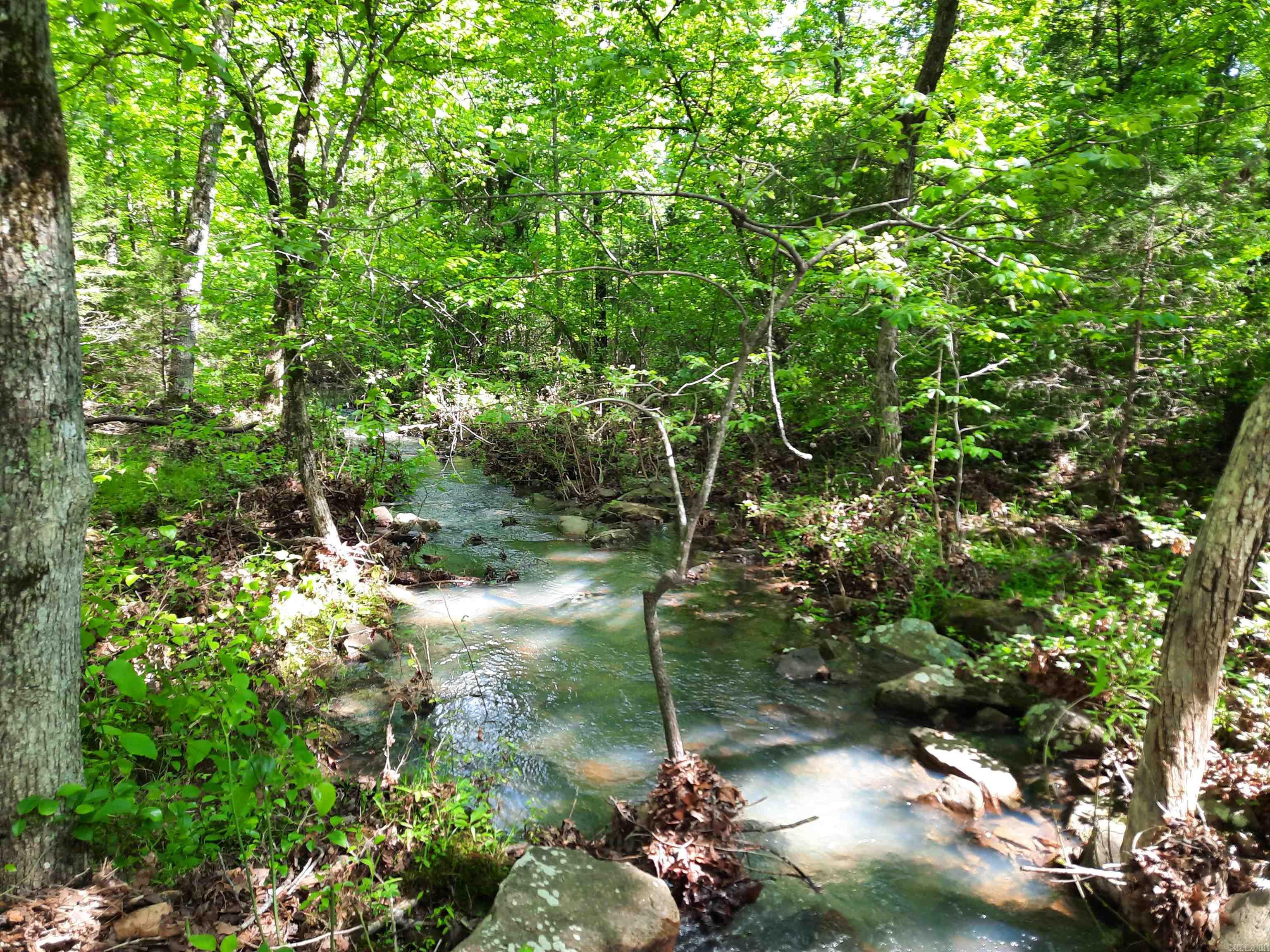 000  Flat Rock Road  Mountain View, AR