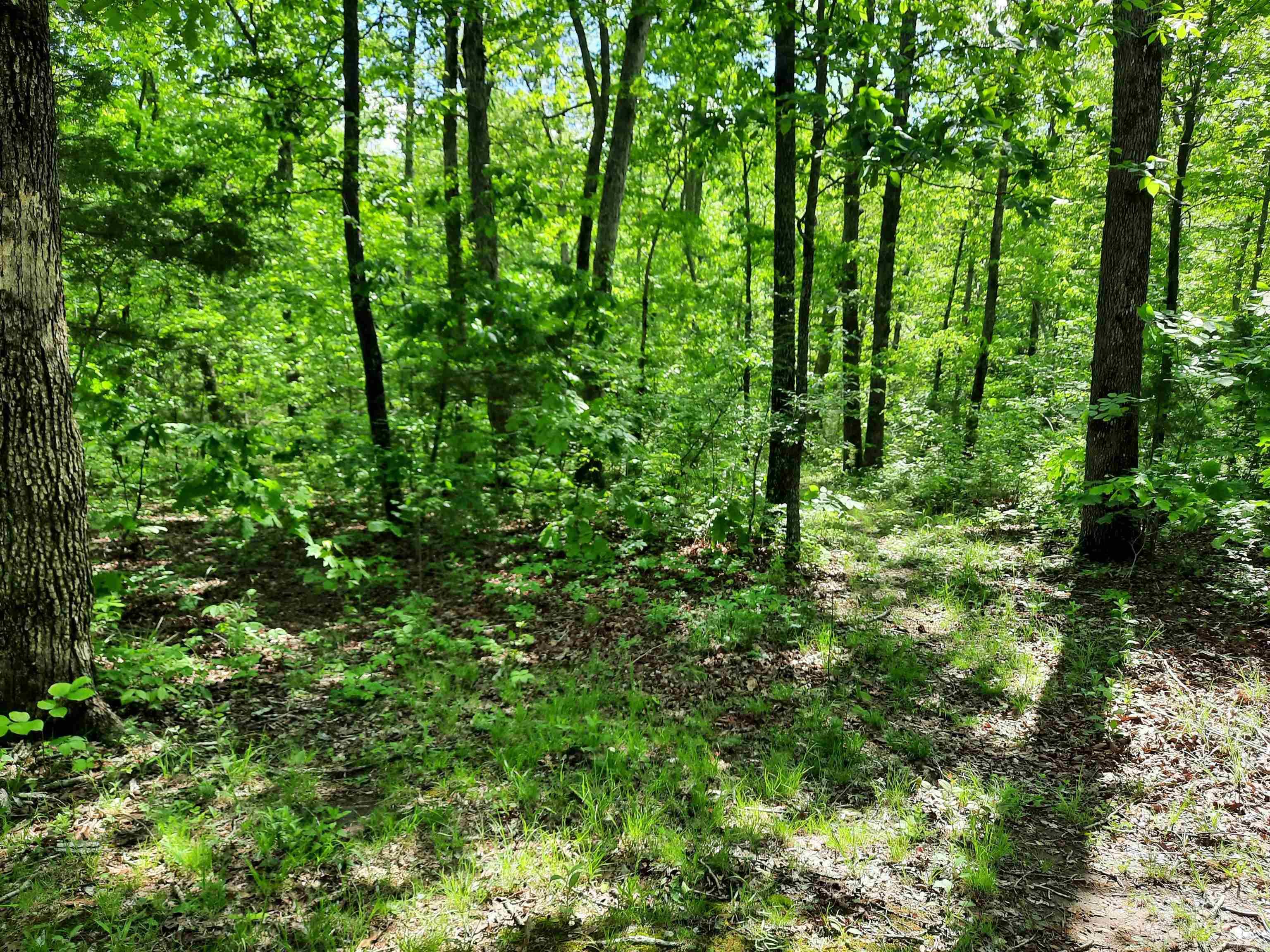 000  Flat Rock Road  Mountain View, AR