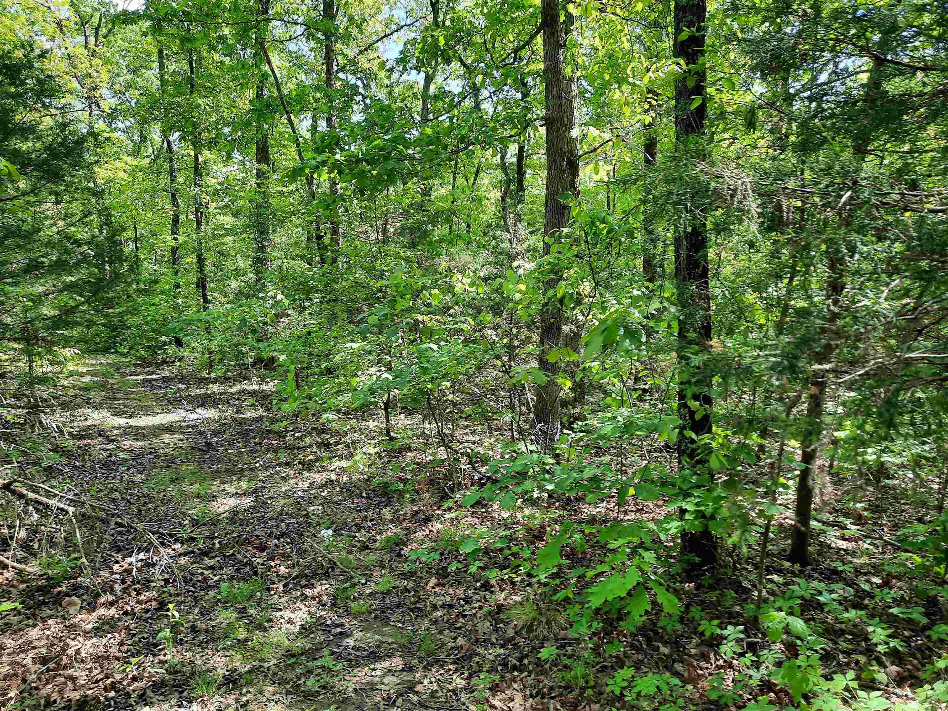 000  Flat Rock Road  Mountain View, AR