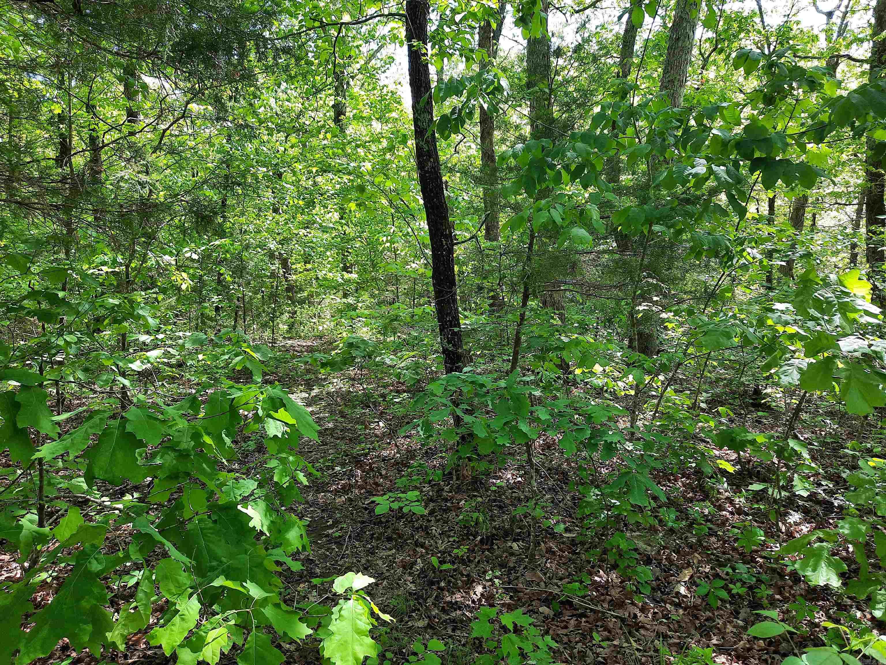 000  Flat Rock Road  Mountain View, AR