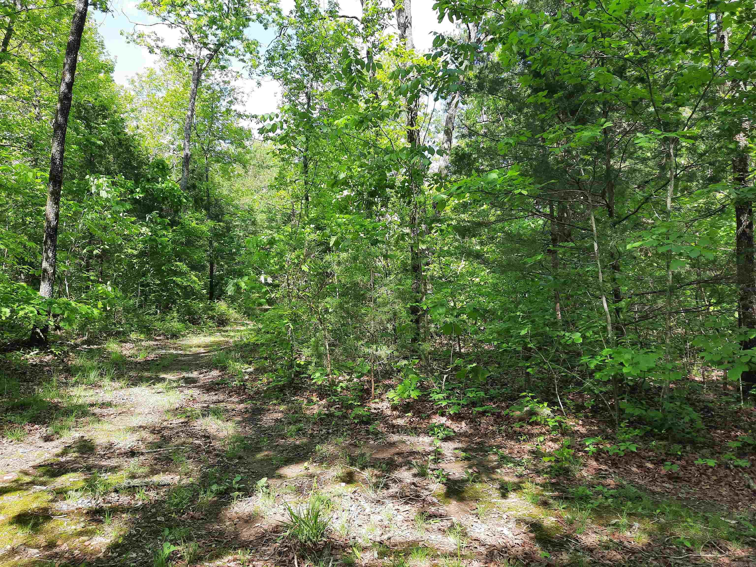 000  Flat Rock Road  Mountain View, AR