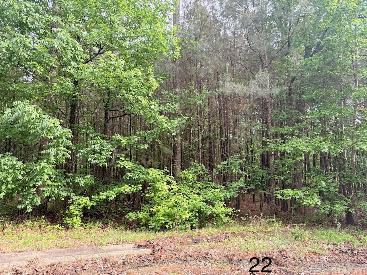   Spruce Cv (Lot 22)  Monticello, AR