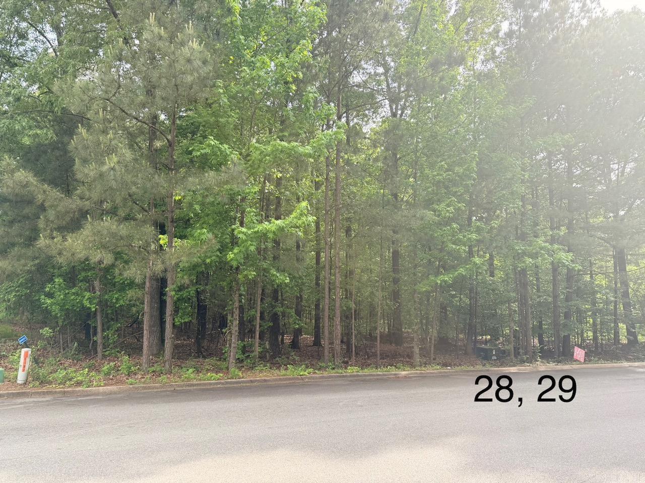   University Hts (Lot 29)  Monticello, AR