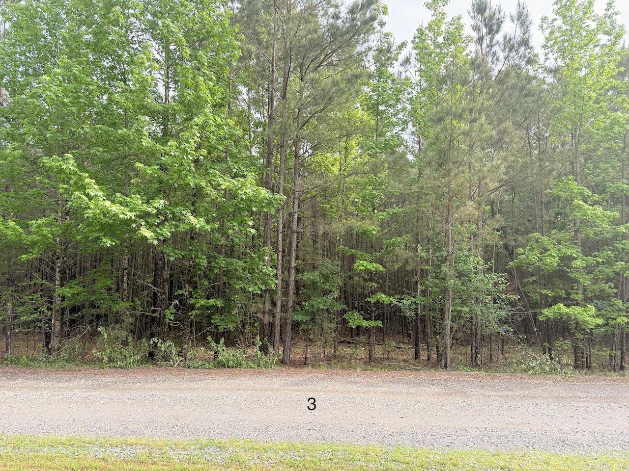   University Heights Dr (Lot 3)  Monticello, AR