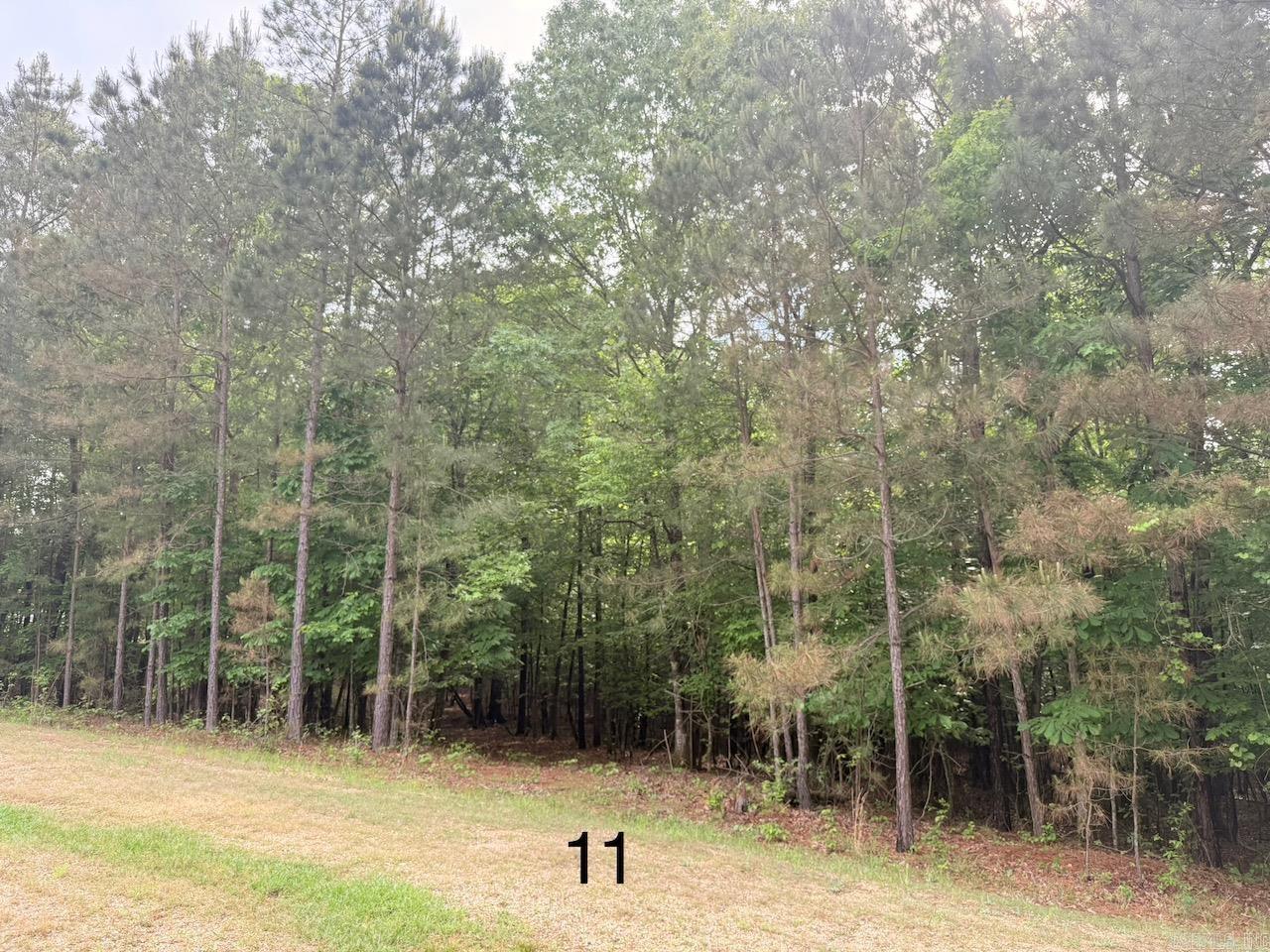  10 Point Lane (Lot 11)  Monticello, AR