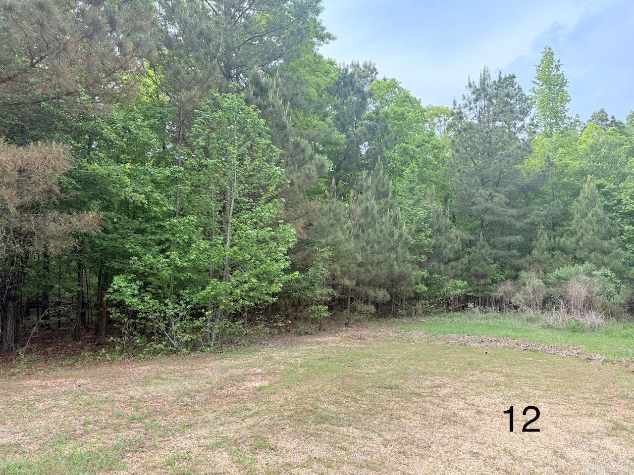   10 Point Ln (Lot 12)  Monticello, AR