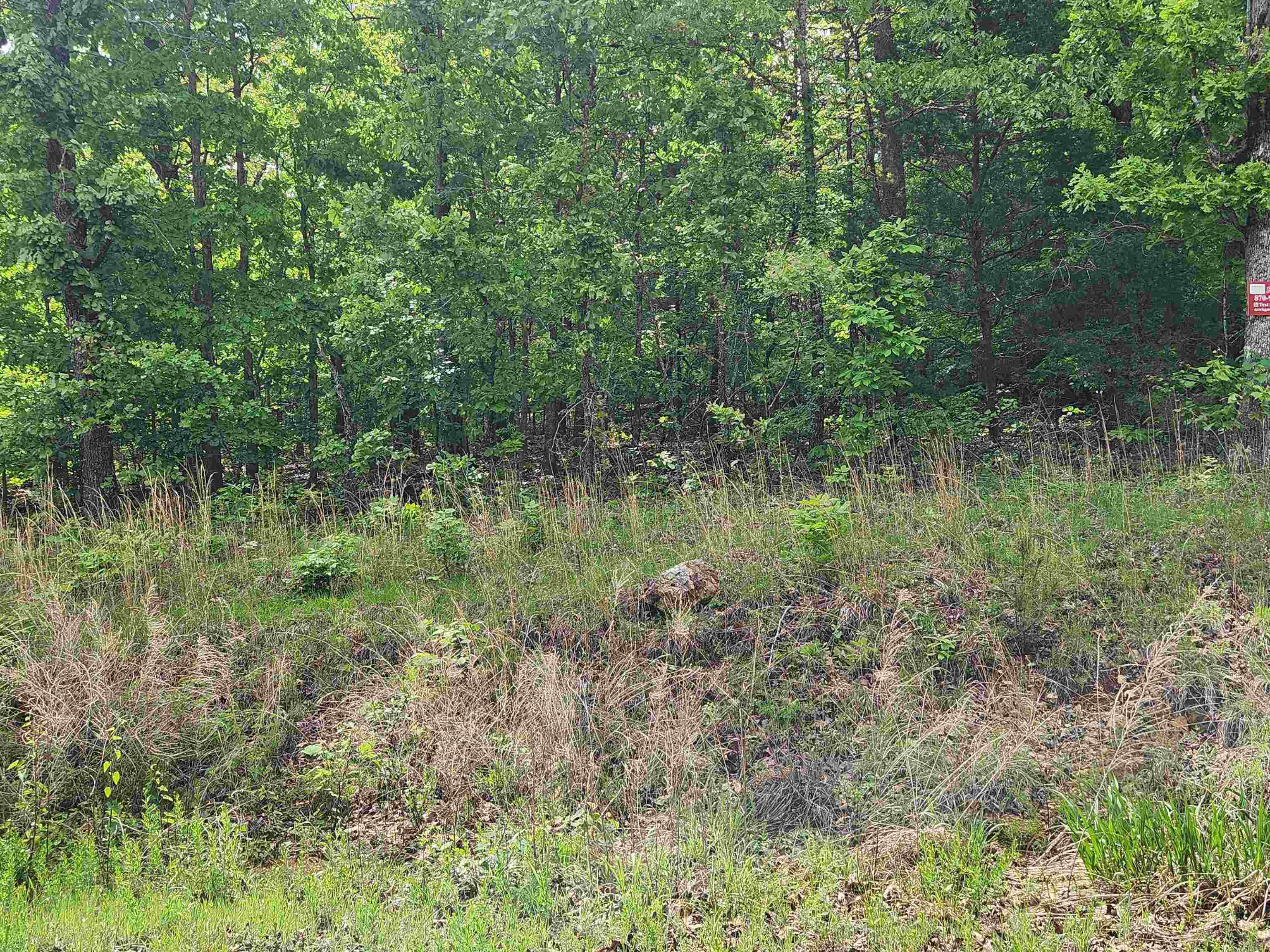   Waubansia  Cherokee Village, AR