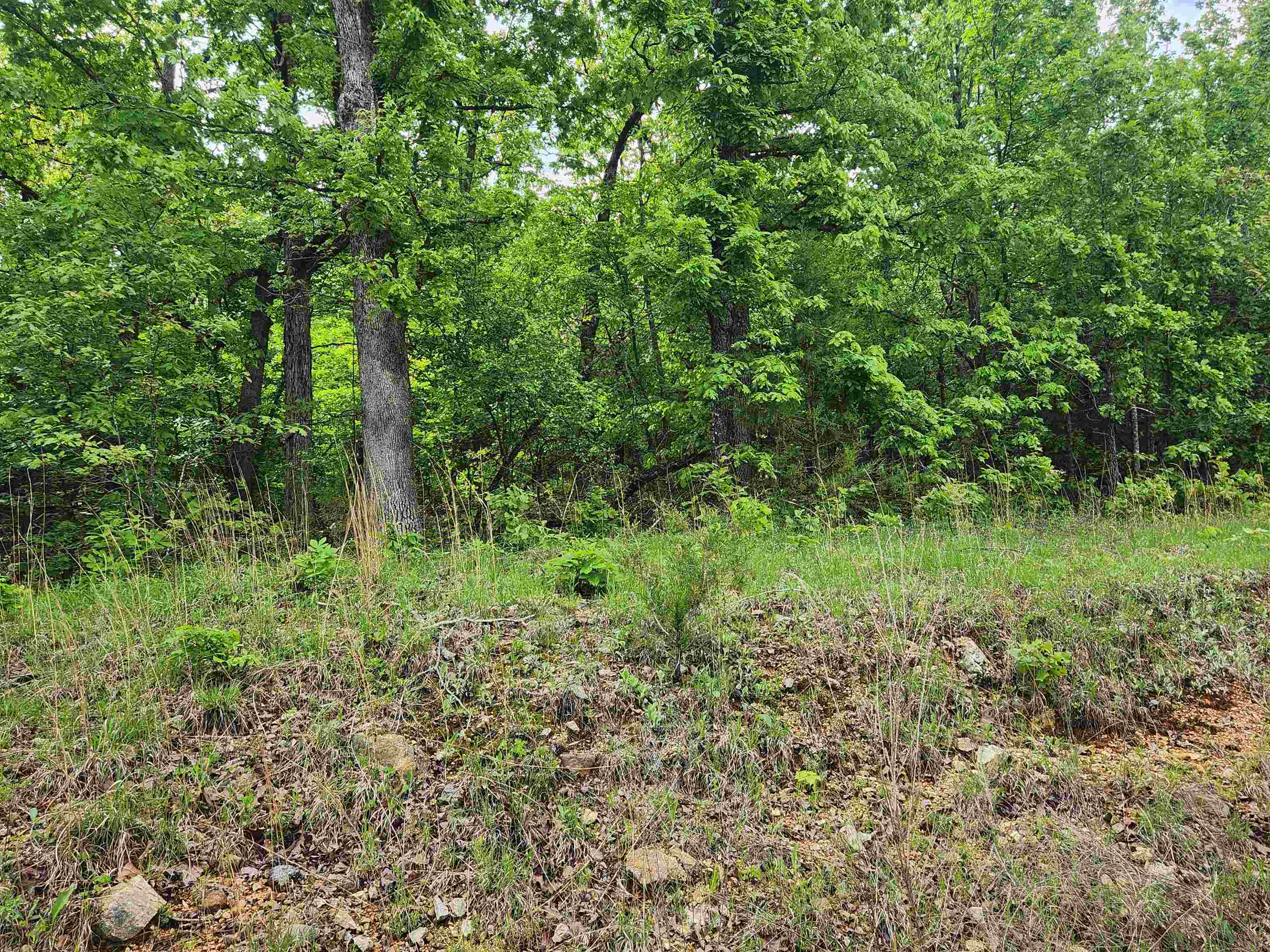   Waubansia  Cherokee Village, AR