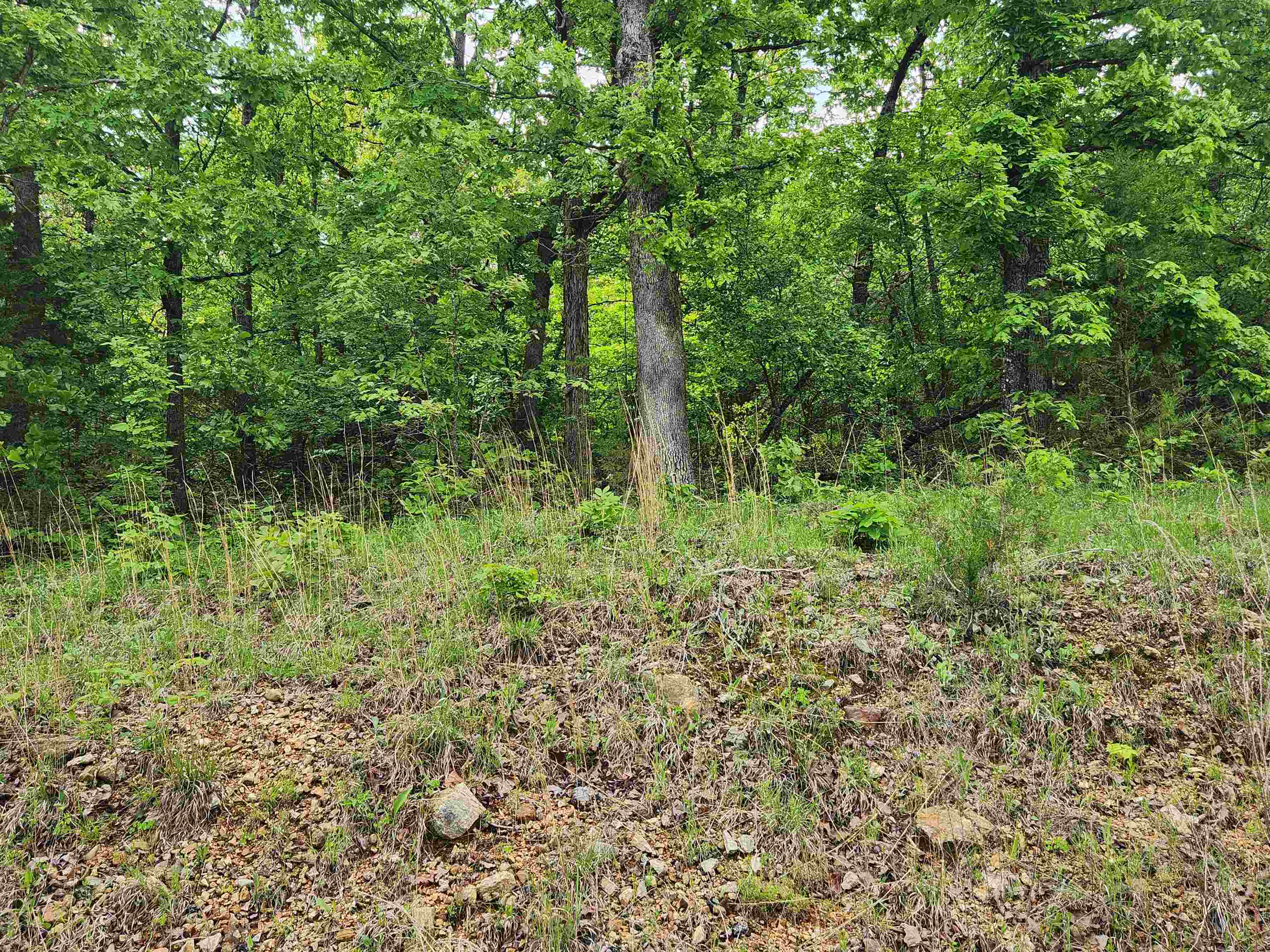   Waubansia  Cherokee Village, AR