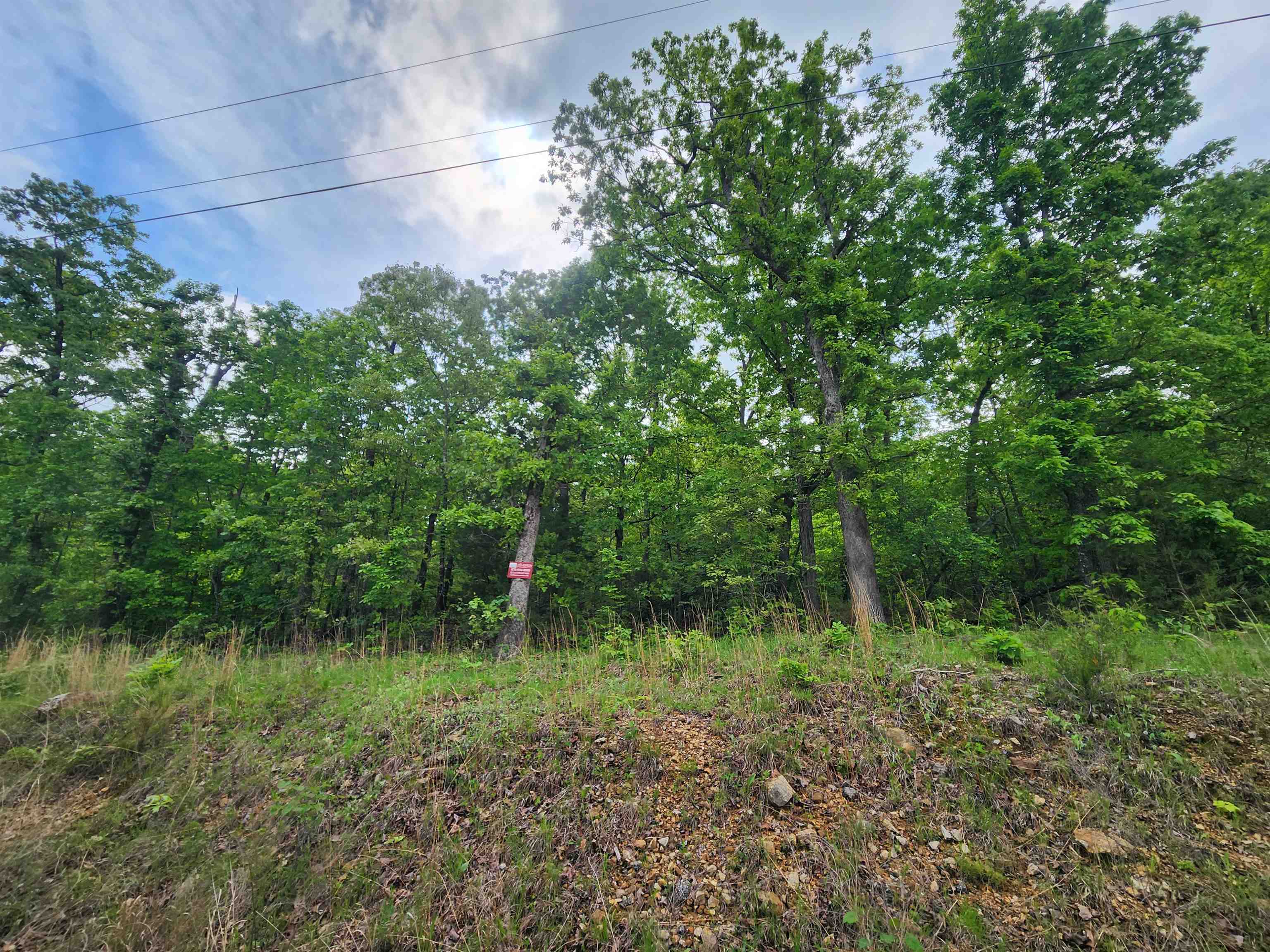   Waubansia  Cherokee Village, AR