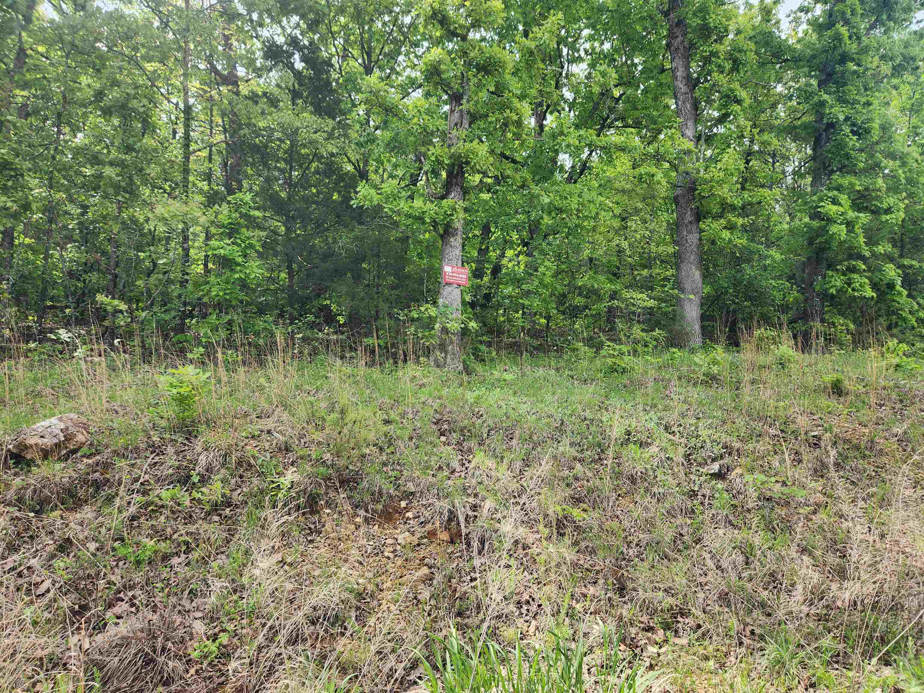   Waubansia  Cherokee Village, AR