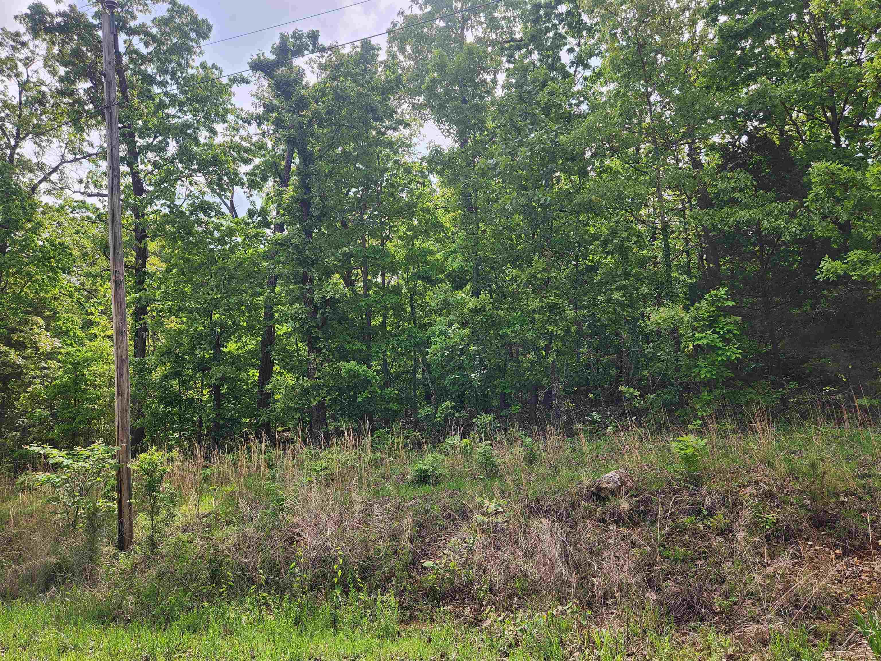   Waubansia  Cherokee Village, AR