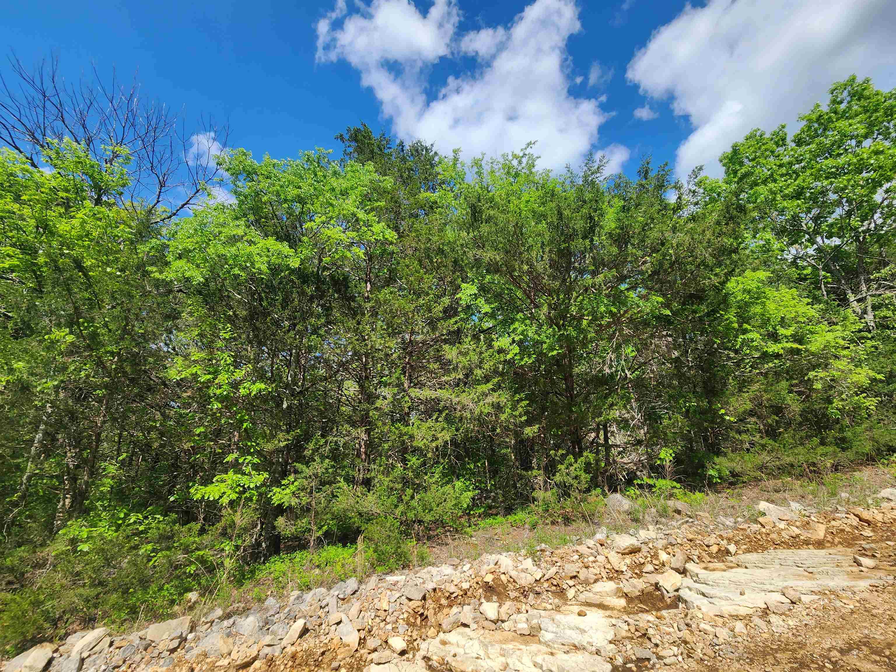   Strawberry Valley  Ash Flat, AR
