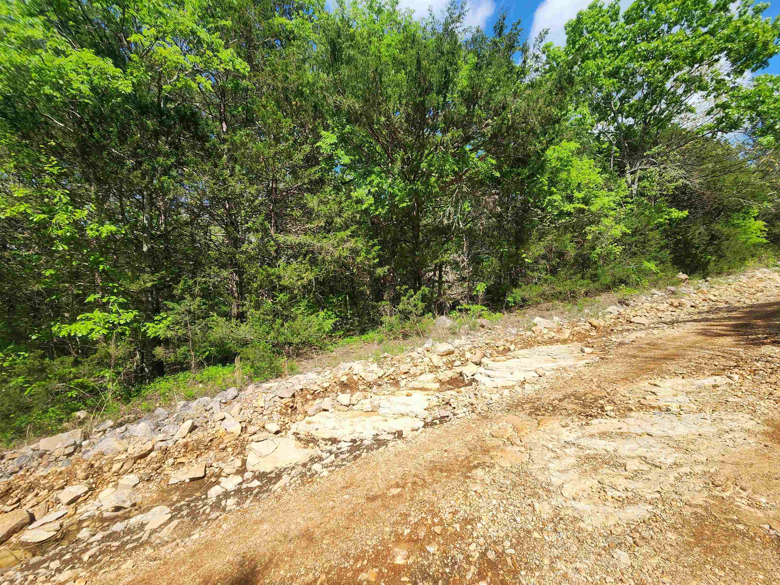   Strawberry Valley  Ash Flat, AR