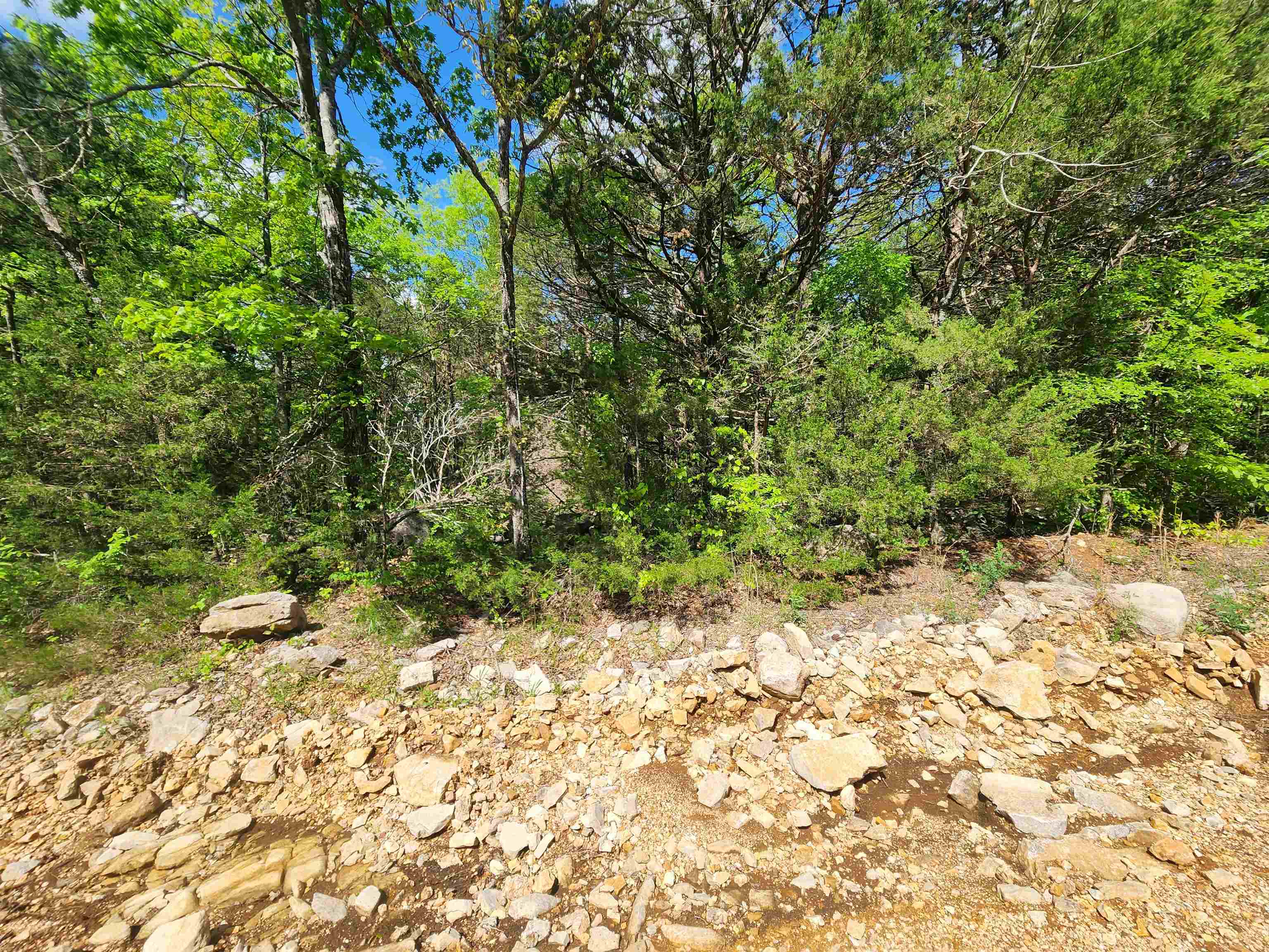   Strawberry Valley  Ash Flat, AR