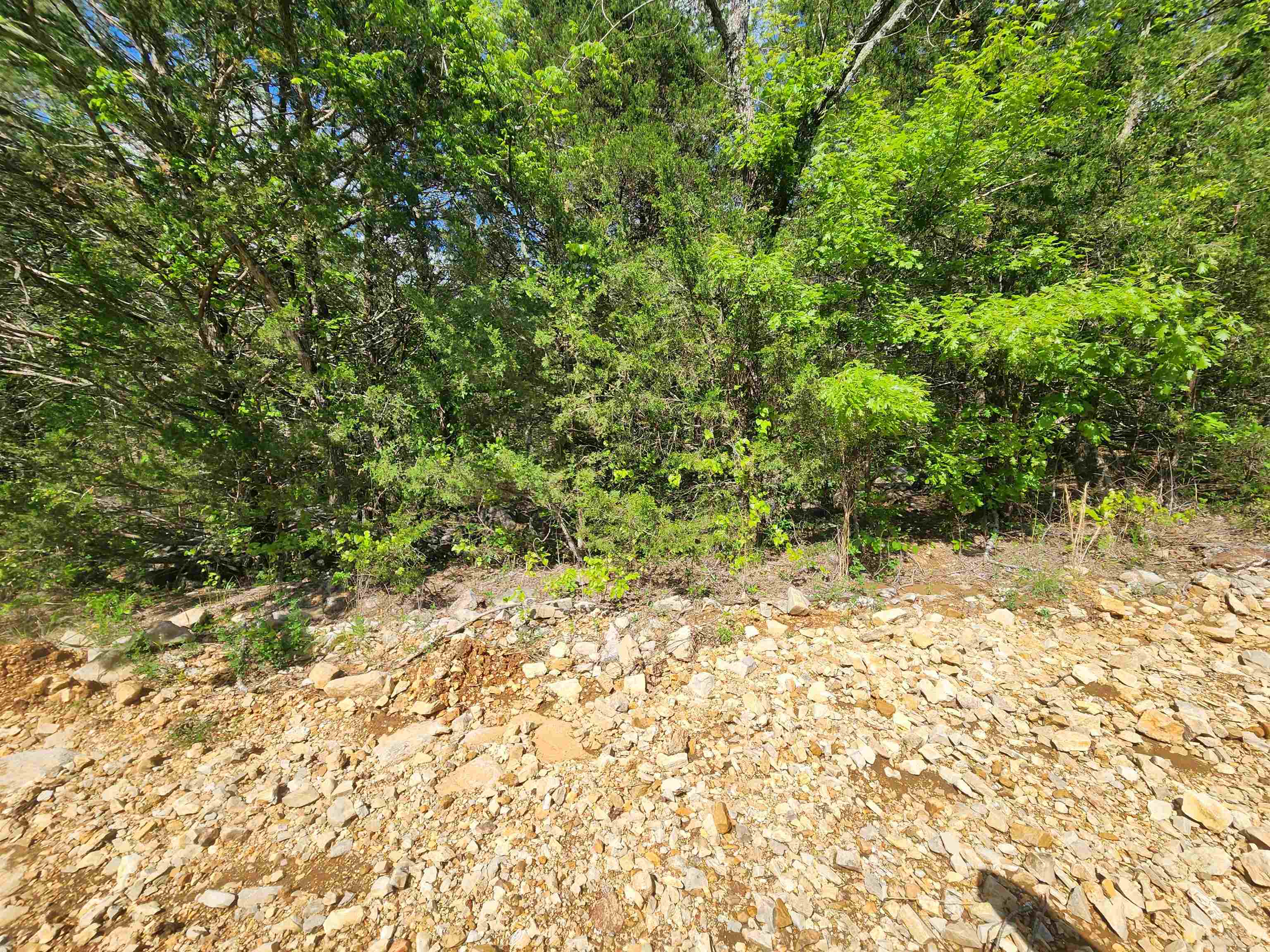   Strawberry Valley  Ash Flat, AR