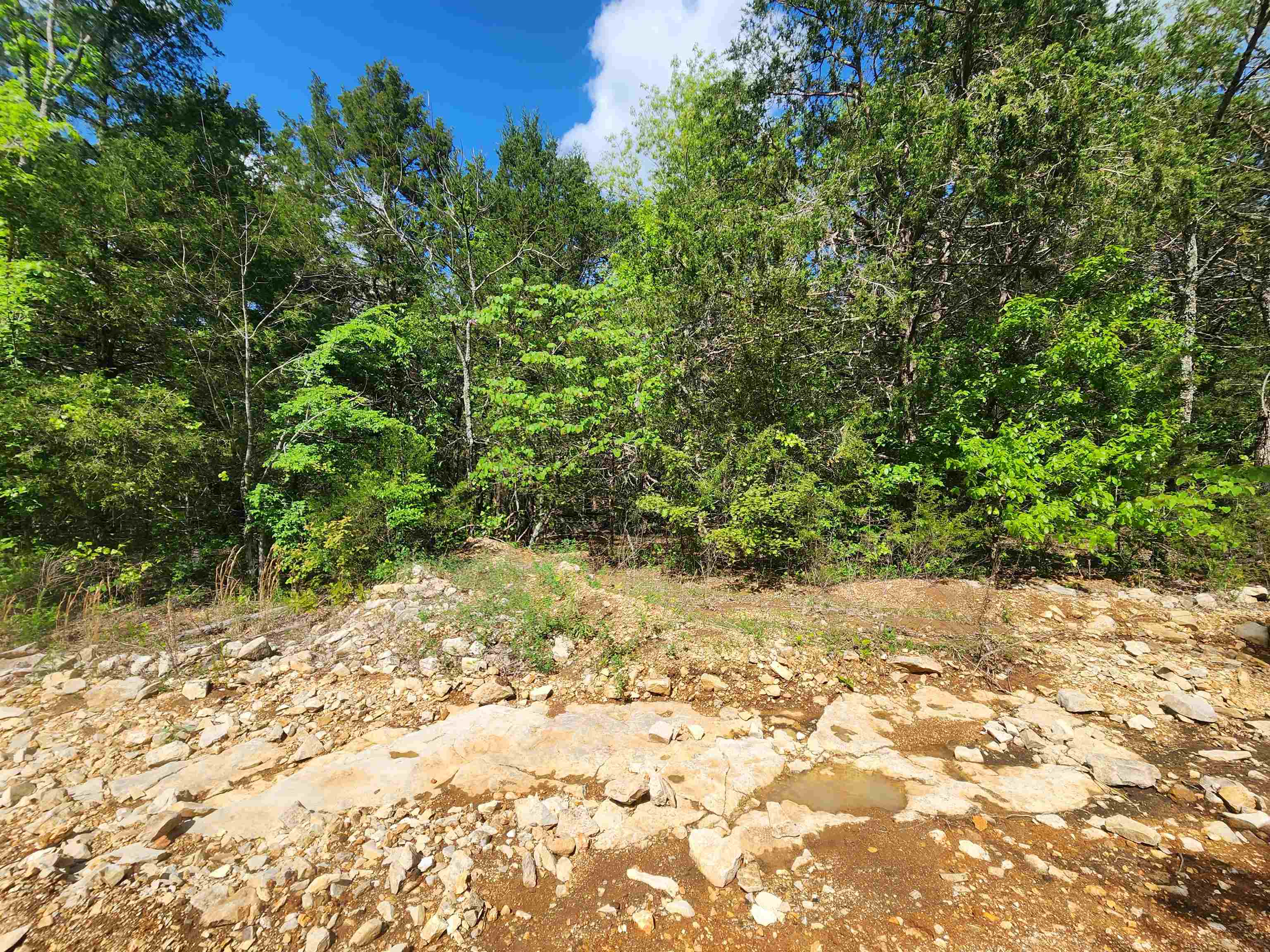  Strawberry Valley  Ash Flat, AR