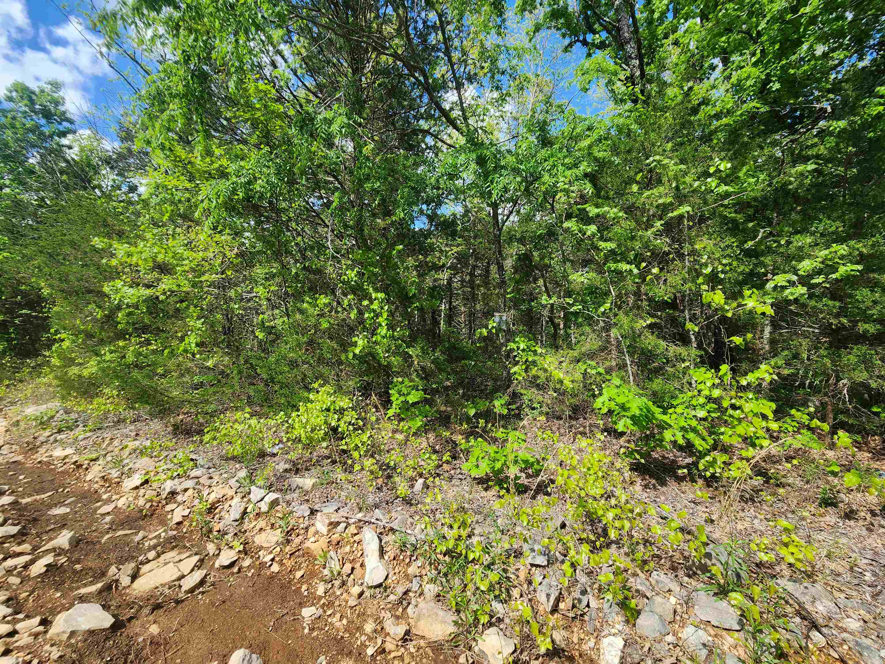   Strawberry Valley  Ash Flat, AR