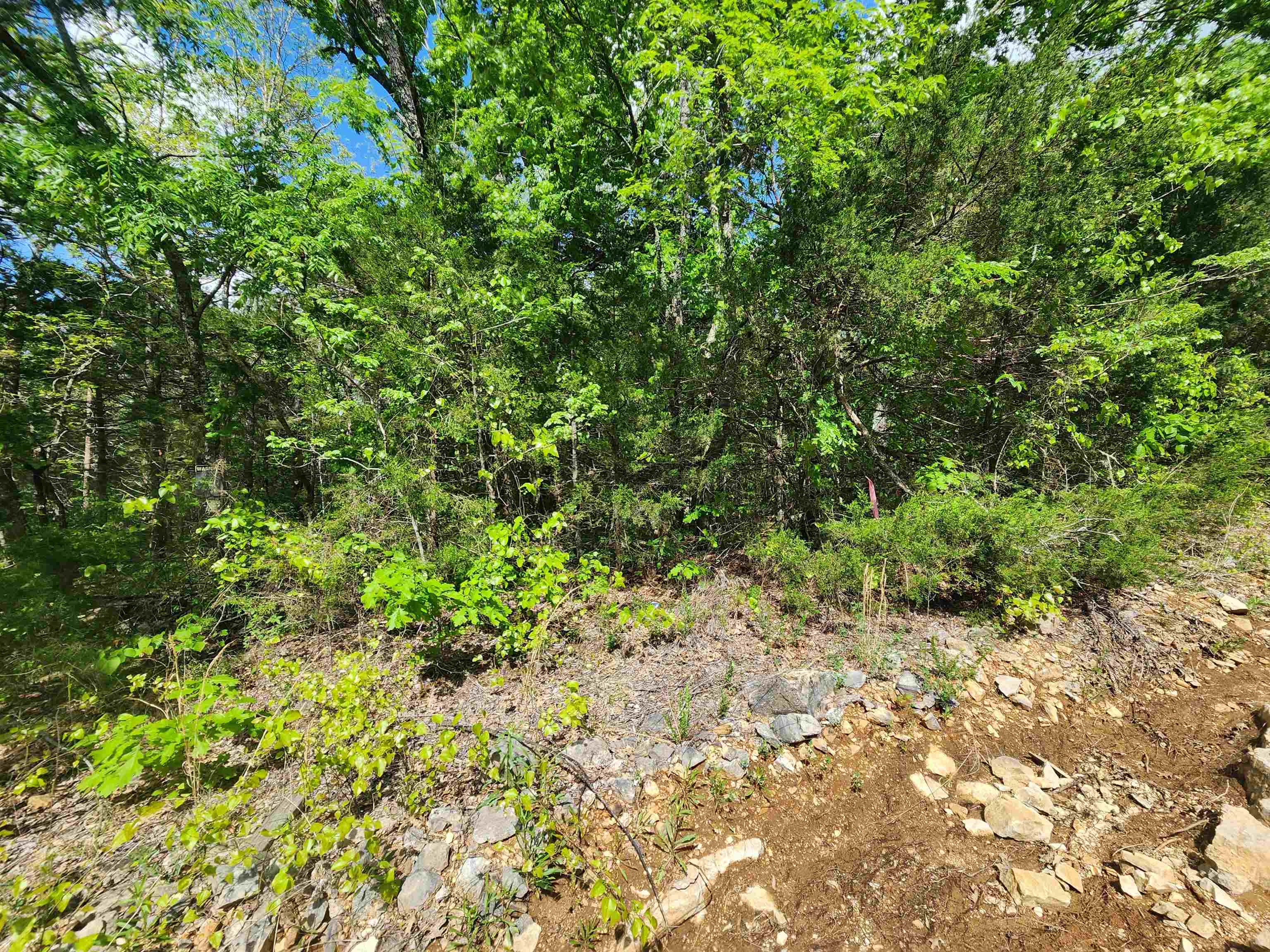   Strawberry Valley  Ash Flat, AR