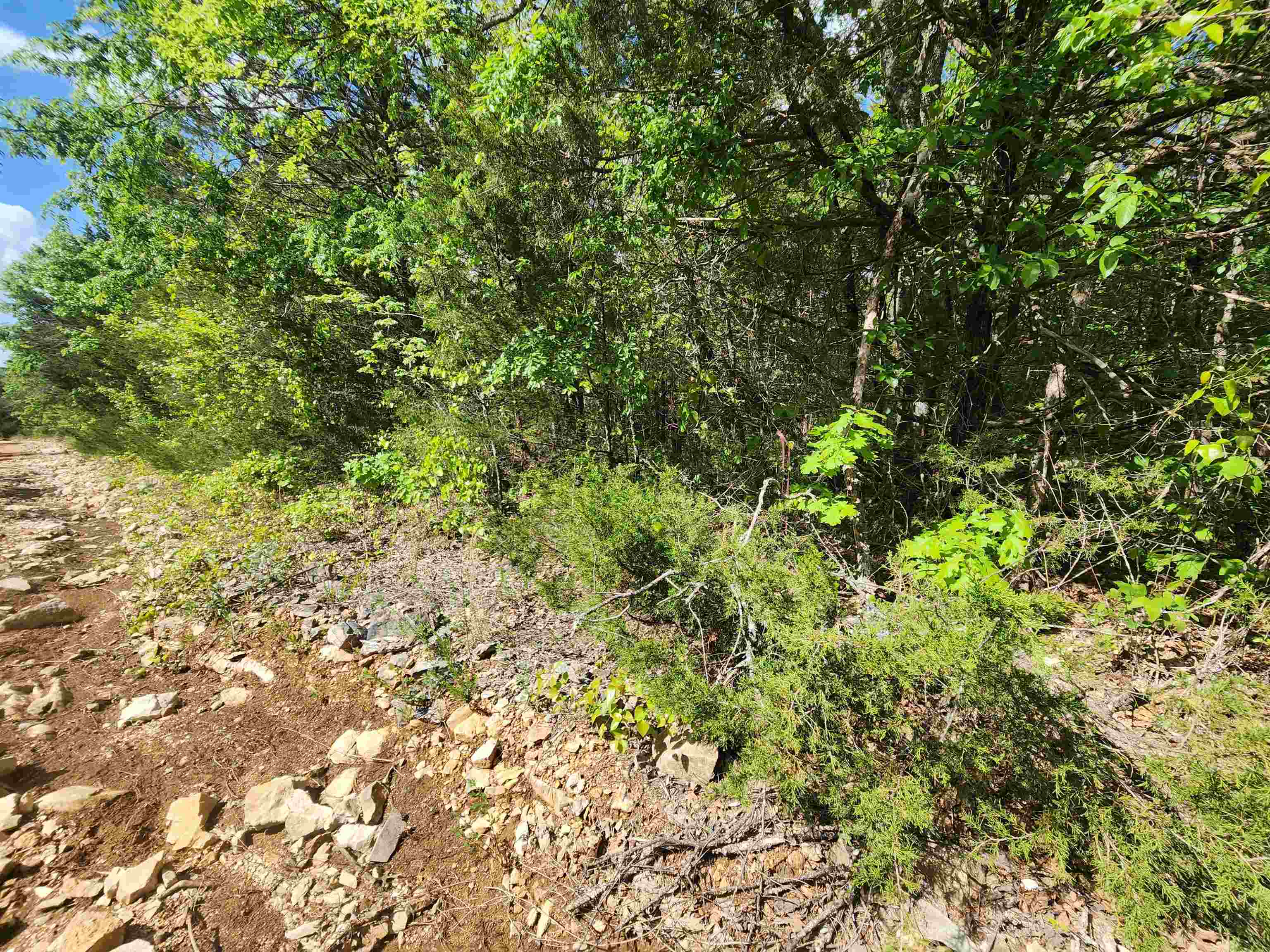   Strawberry Valley  Ash Flat, AR