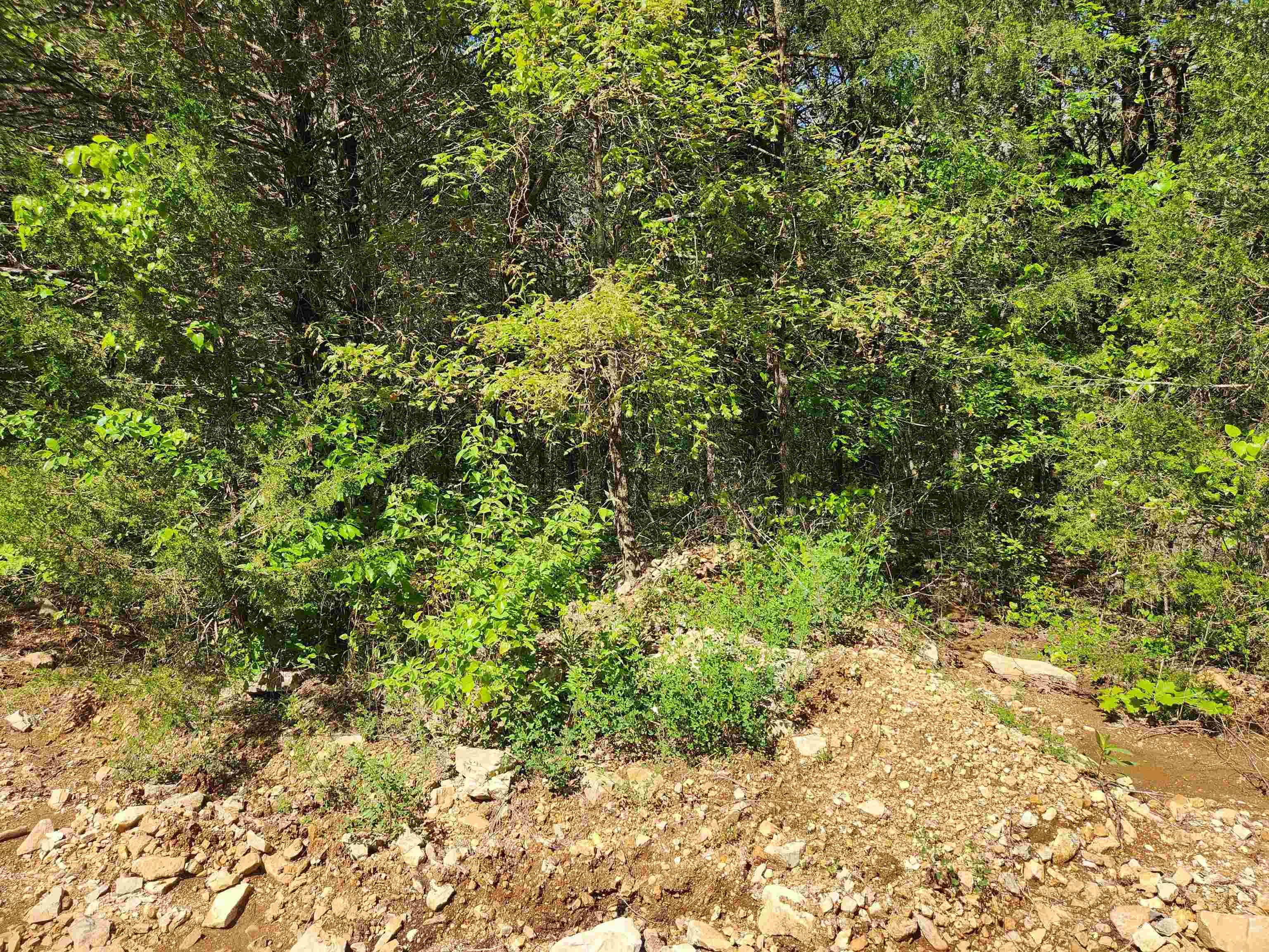   Strawberry Valley  Ash Flat, AR