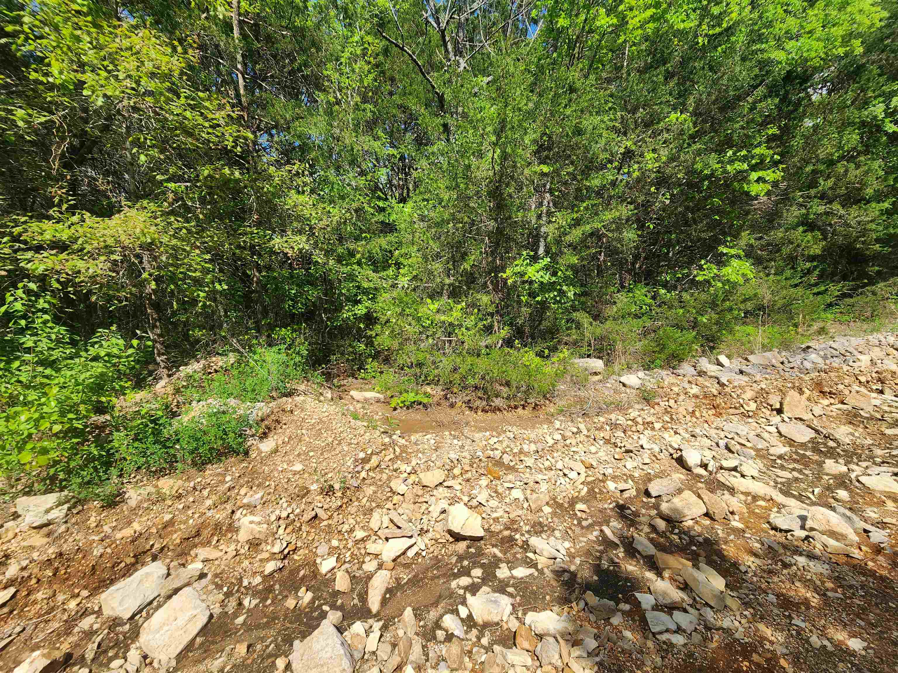   Strawberry Valley  Ash Flat, AR
