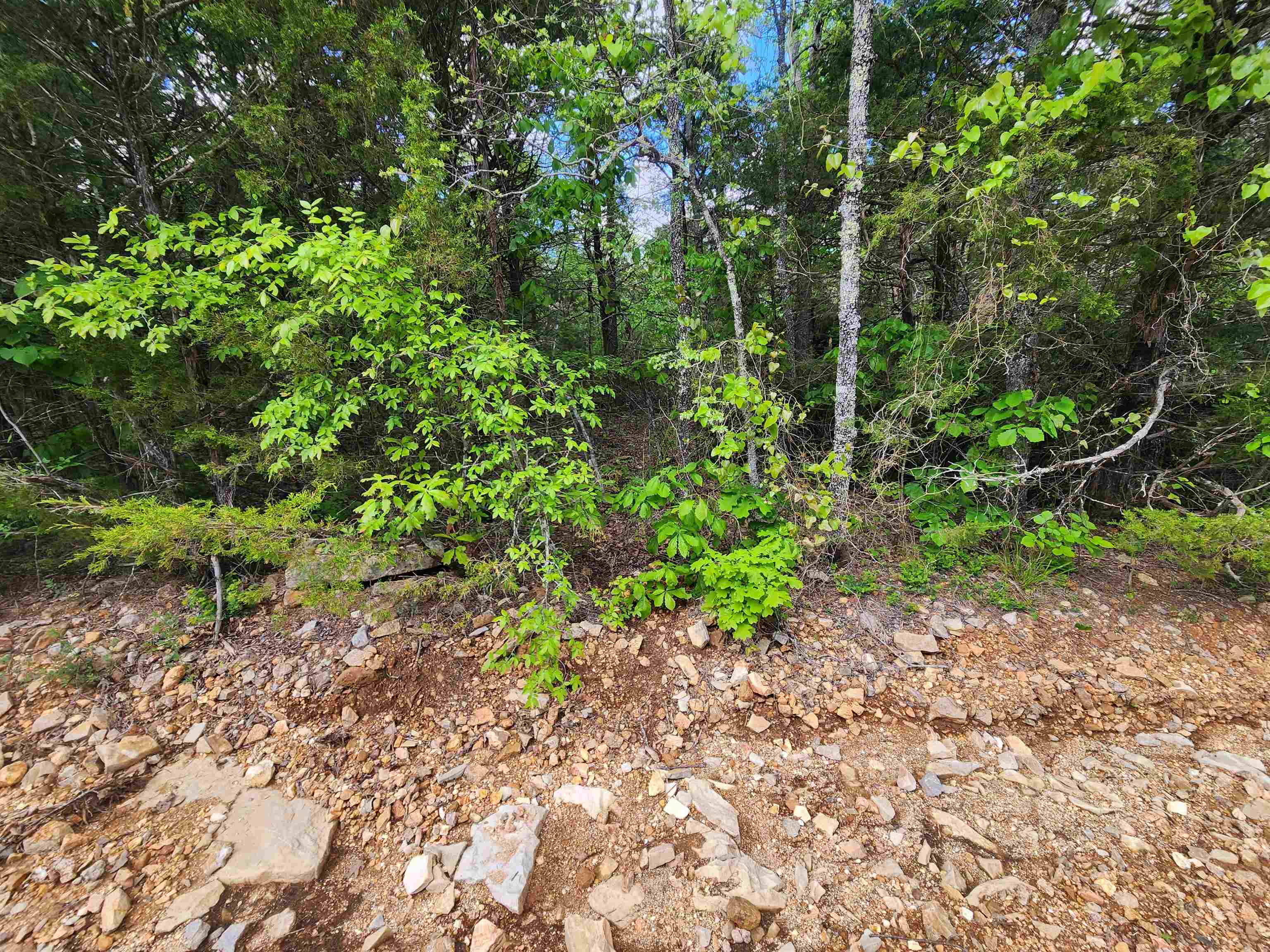   Strawberry Valley  Ash Flat, AR