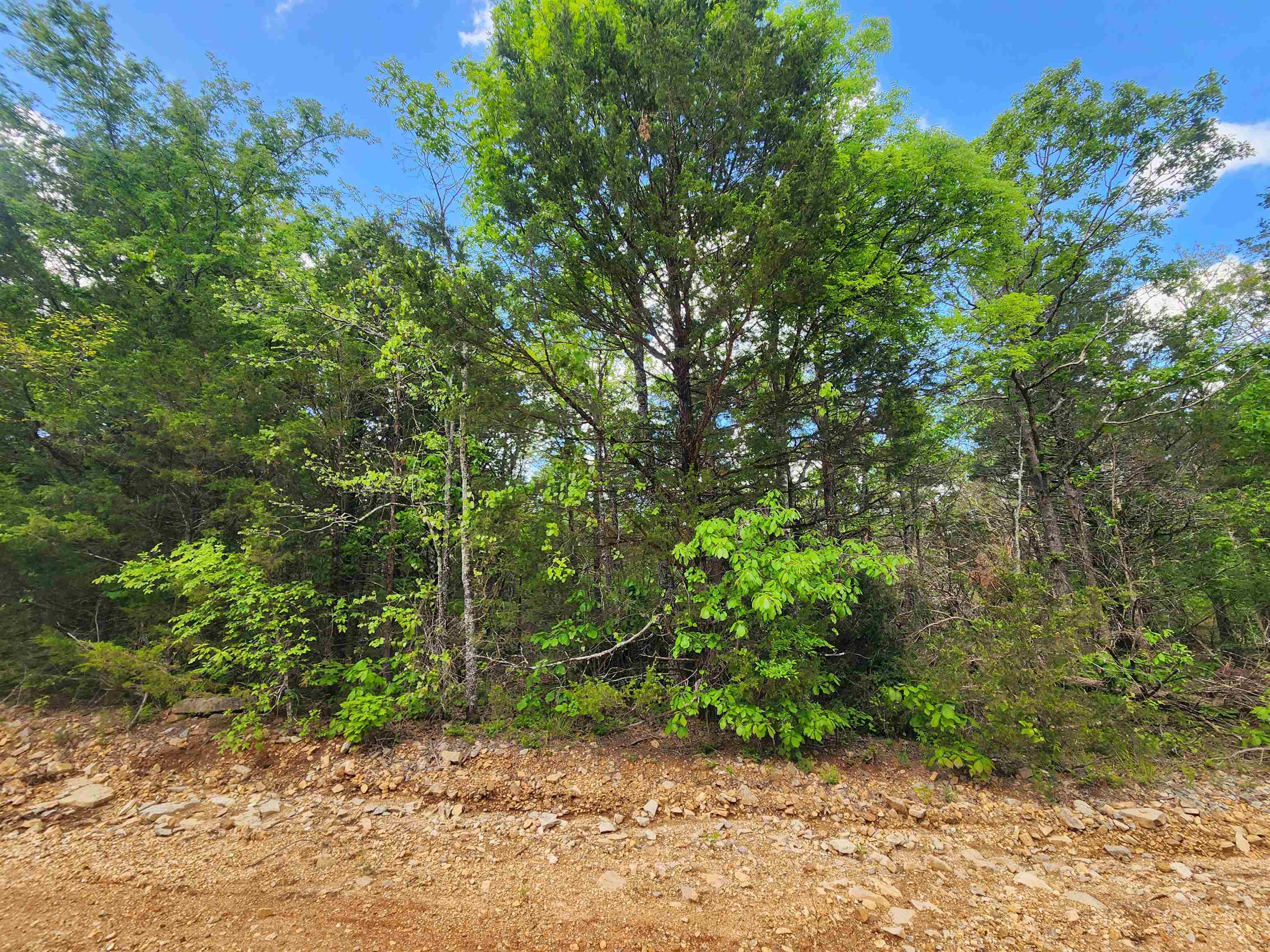   Strawberry Valley  Ash Flat, AR
