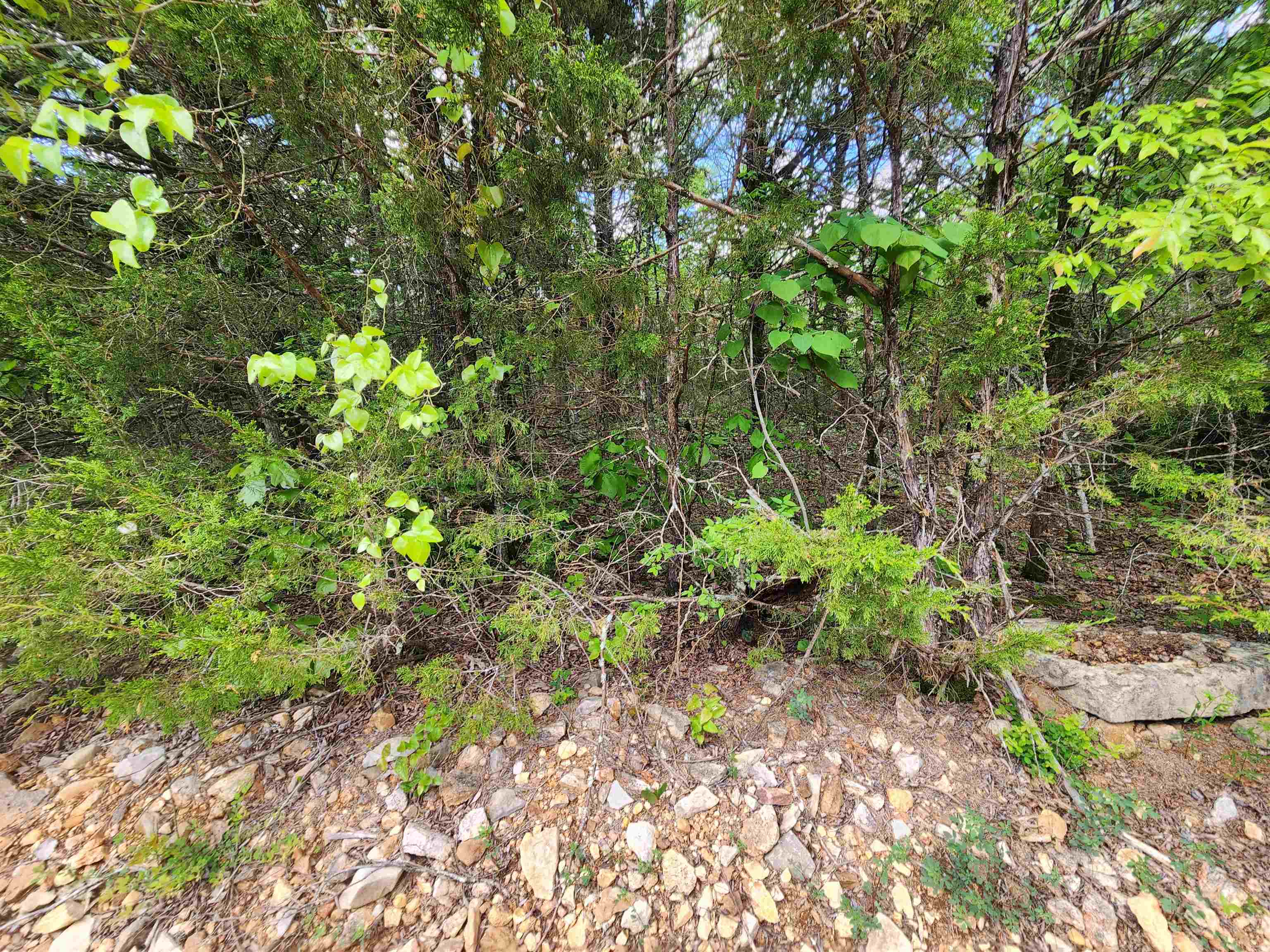   Strawberry Valley  Ash Flat, AR