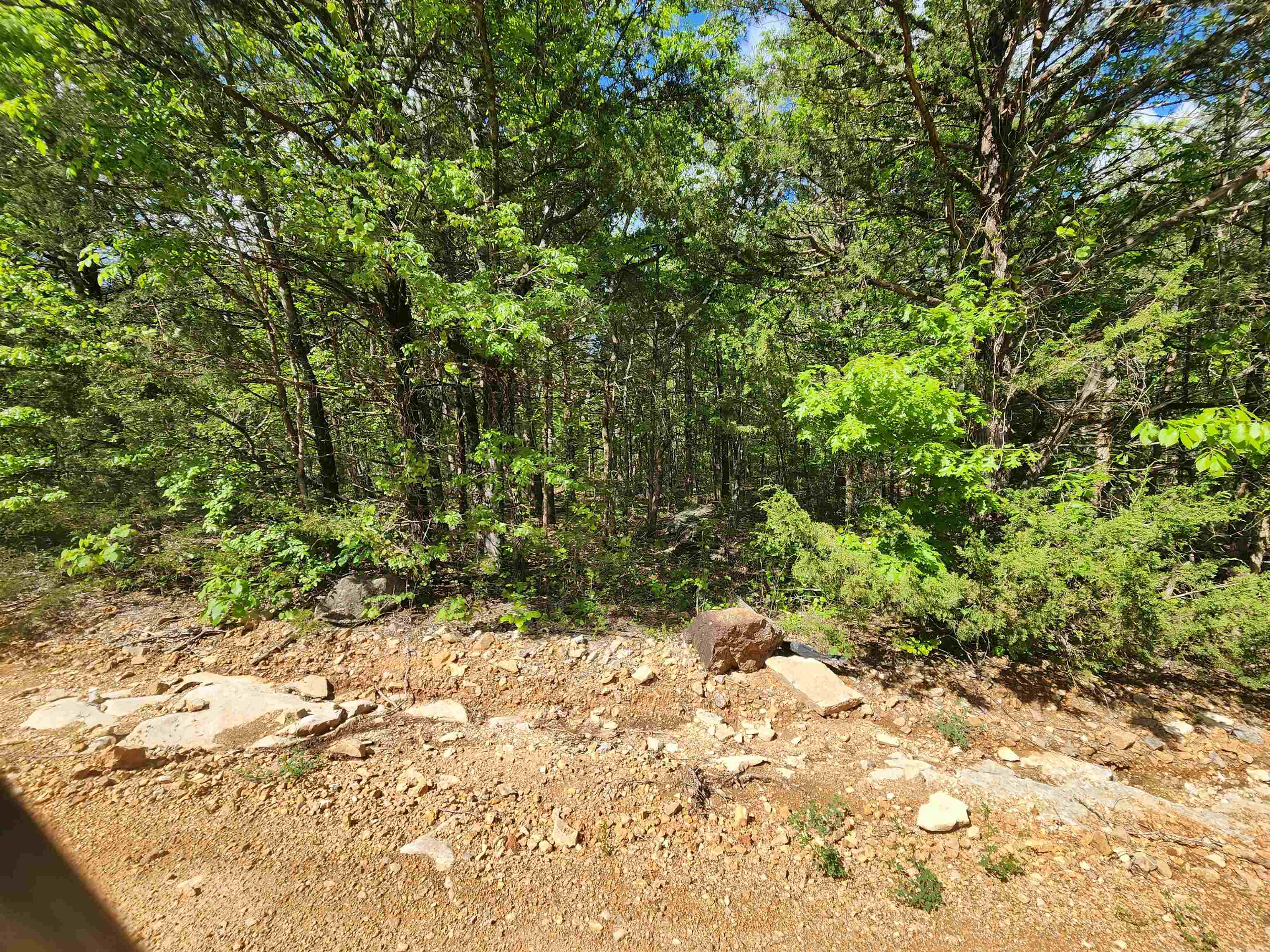   Strawberry Valley  Ash Flat, AR