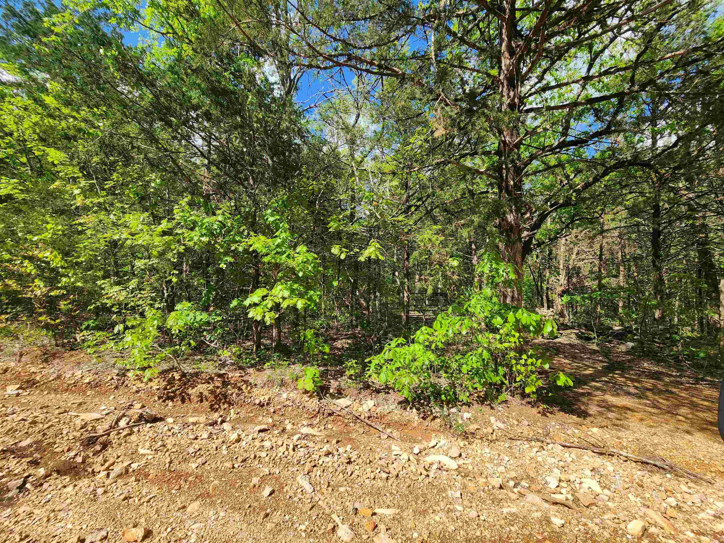   Strawberry Valley  Ash Flat, AR