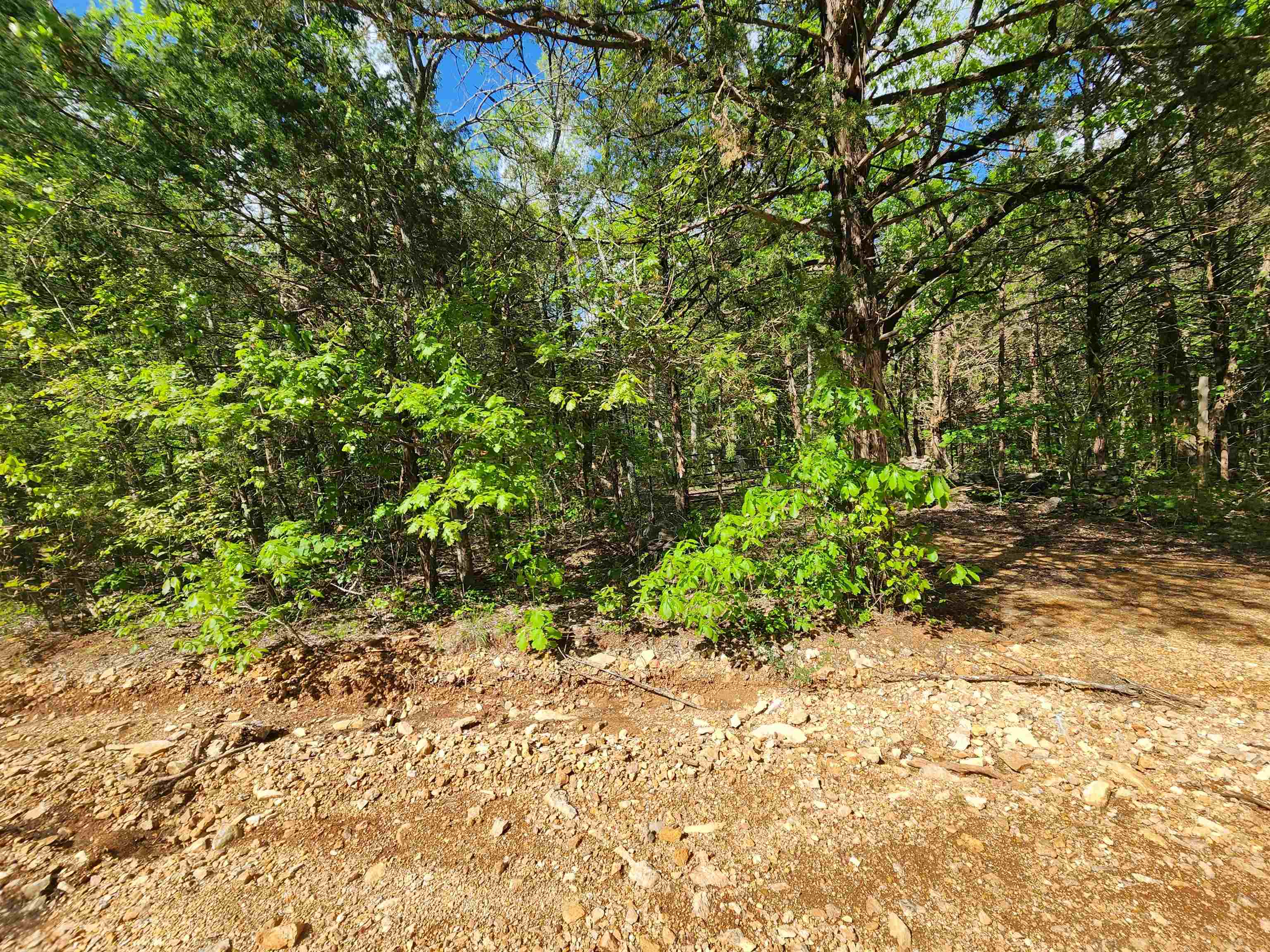   Strawberry Valley  Ash Flat, AR